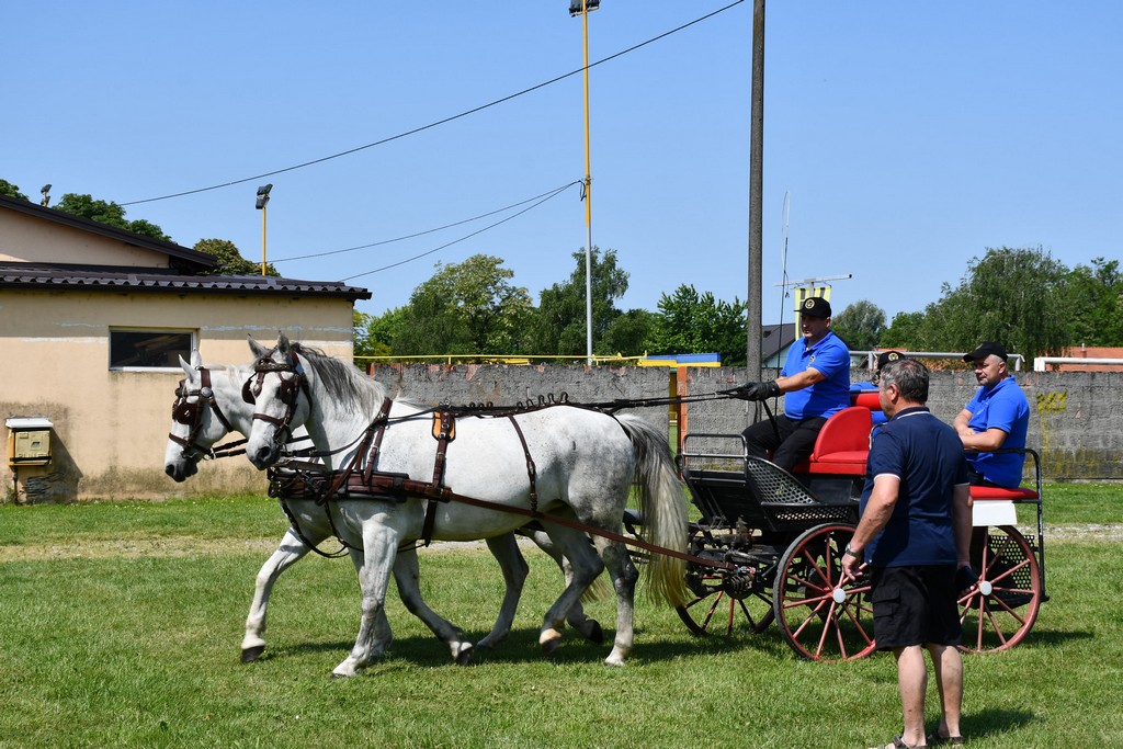 VIDEO I FOTO Međunarodno konjičko druženje okupilo brojne uzgajivače konja iz SZ Hrvatske te Slovenije i Austrije