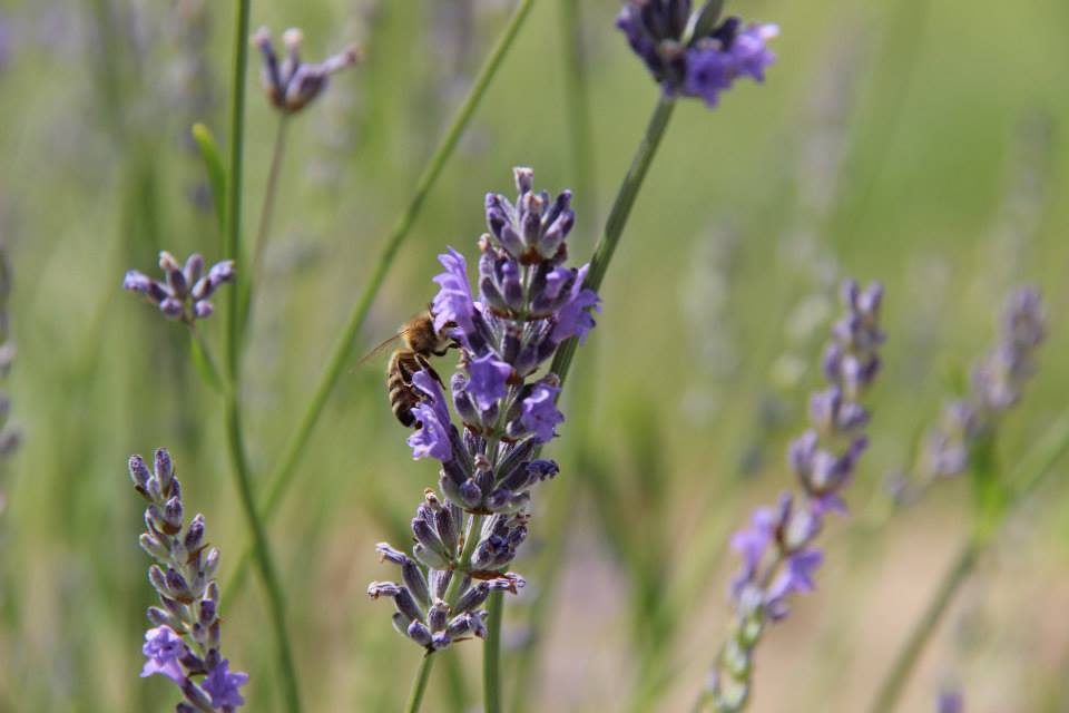 1045093210203502706385258354250