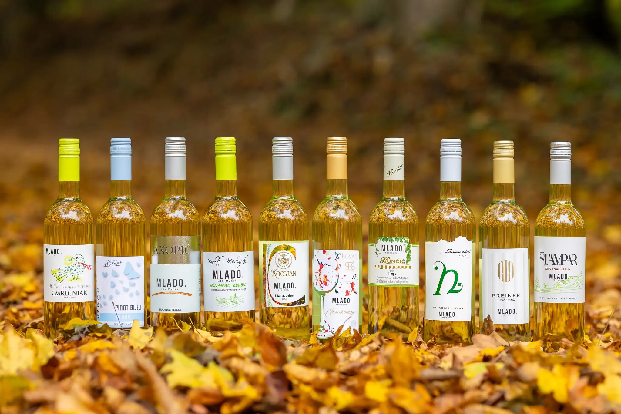 464349482_1084771306985907_8707706721980746295_n 464349482_1084771306985907_8707706721980746295_n