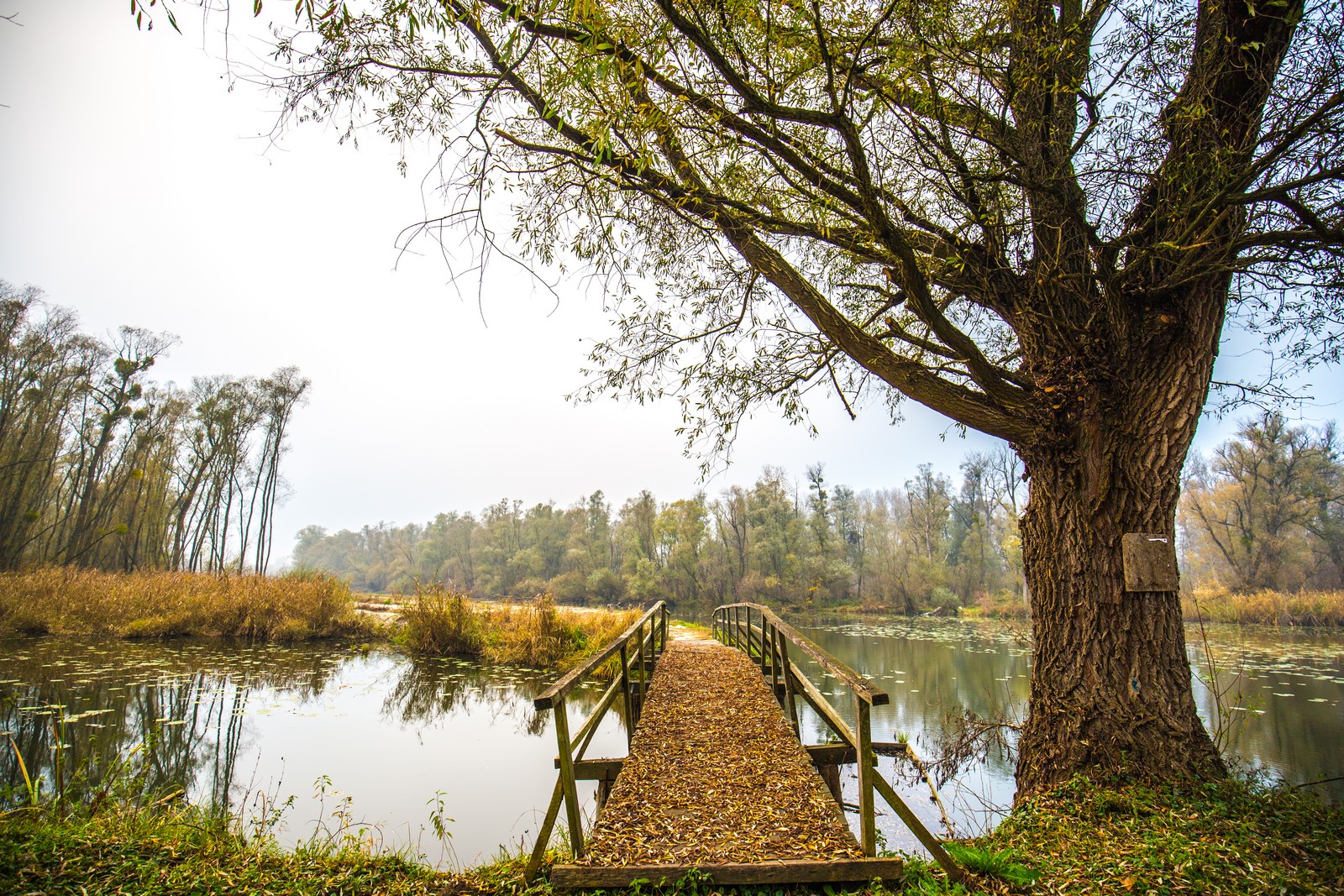Međimurje se predalo jeseni