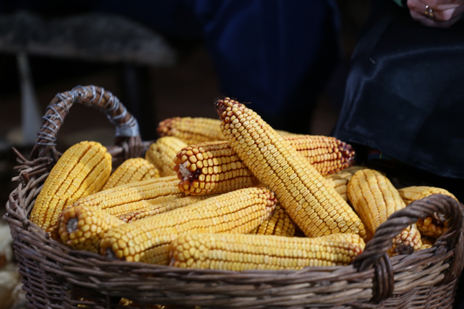 Snimanje emisije Lijepom našom u Orehovici