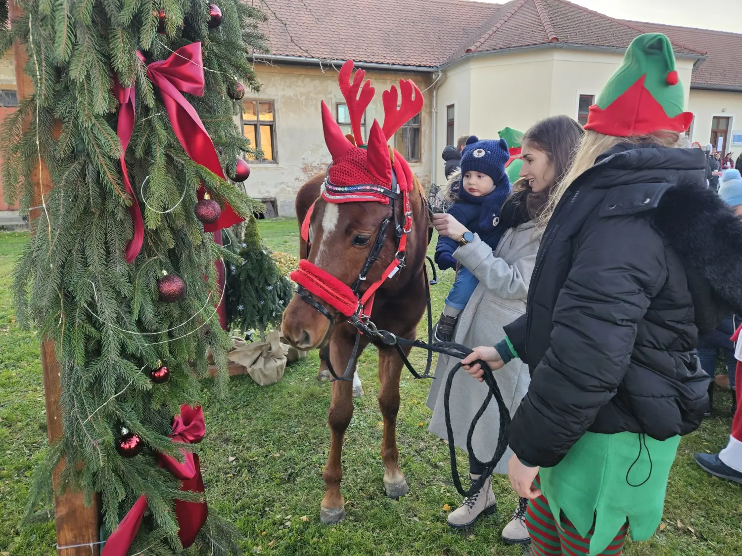 468771113_611069344821026_993451325462298069_n 468771113_611069344821026_993451325462298069_n