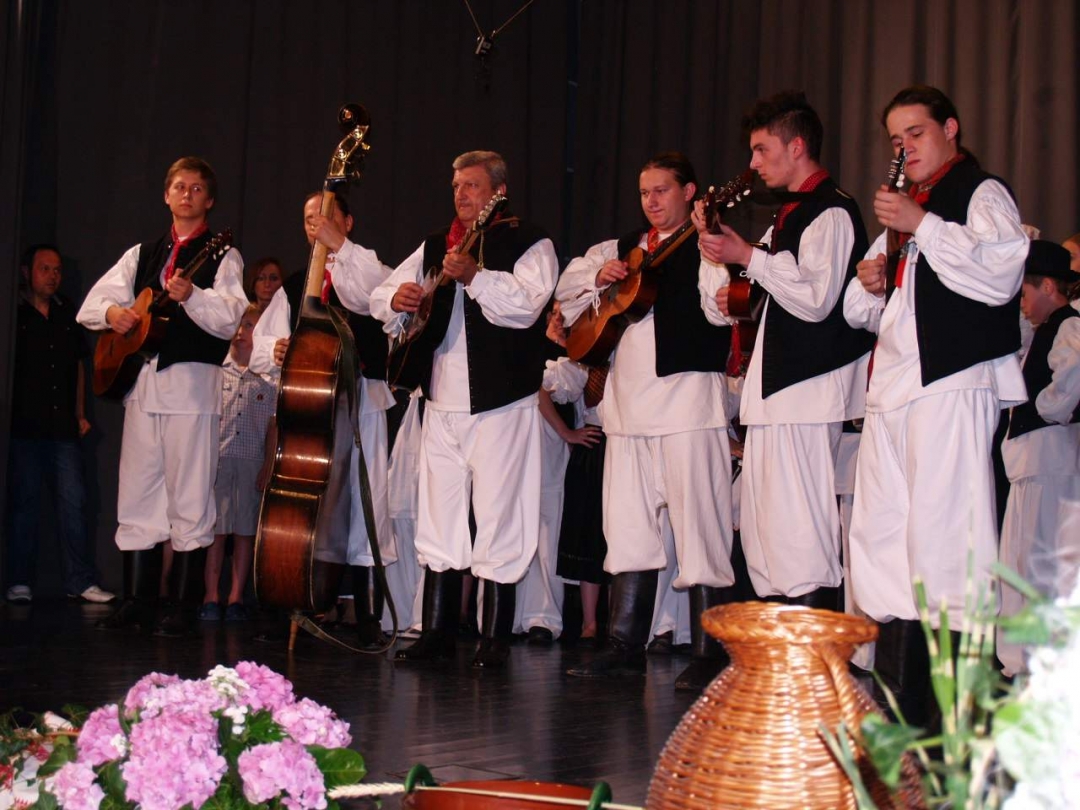 medimurjekaksilepozelenotambura