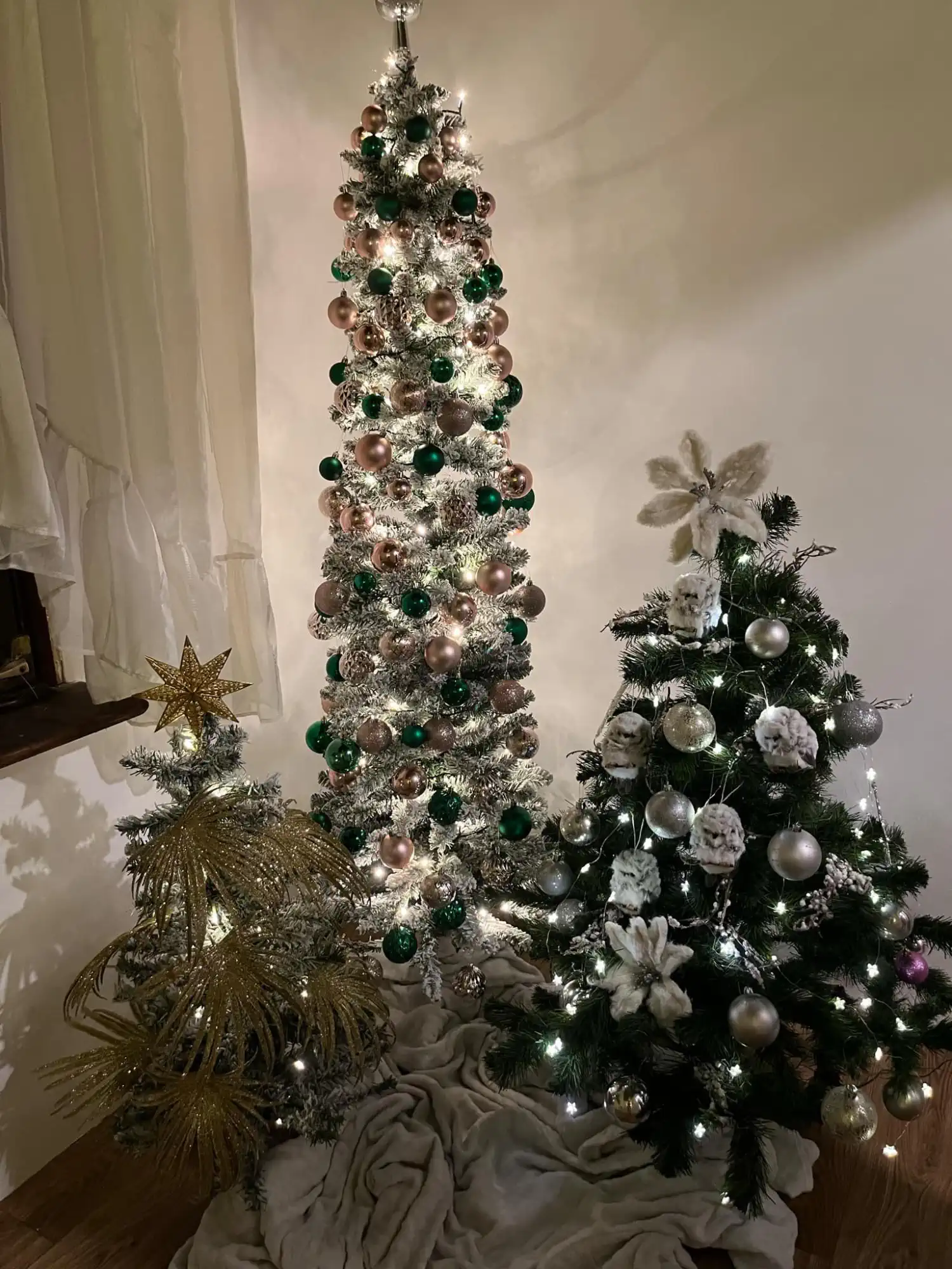 471226361_3010255949129001_3619903429863946079_n