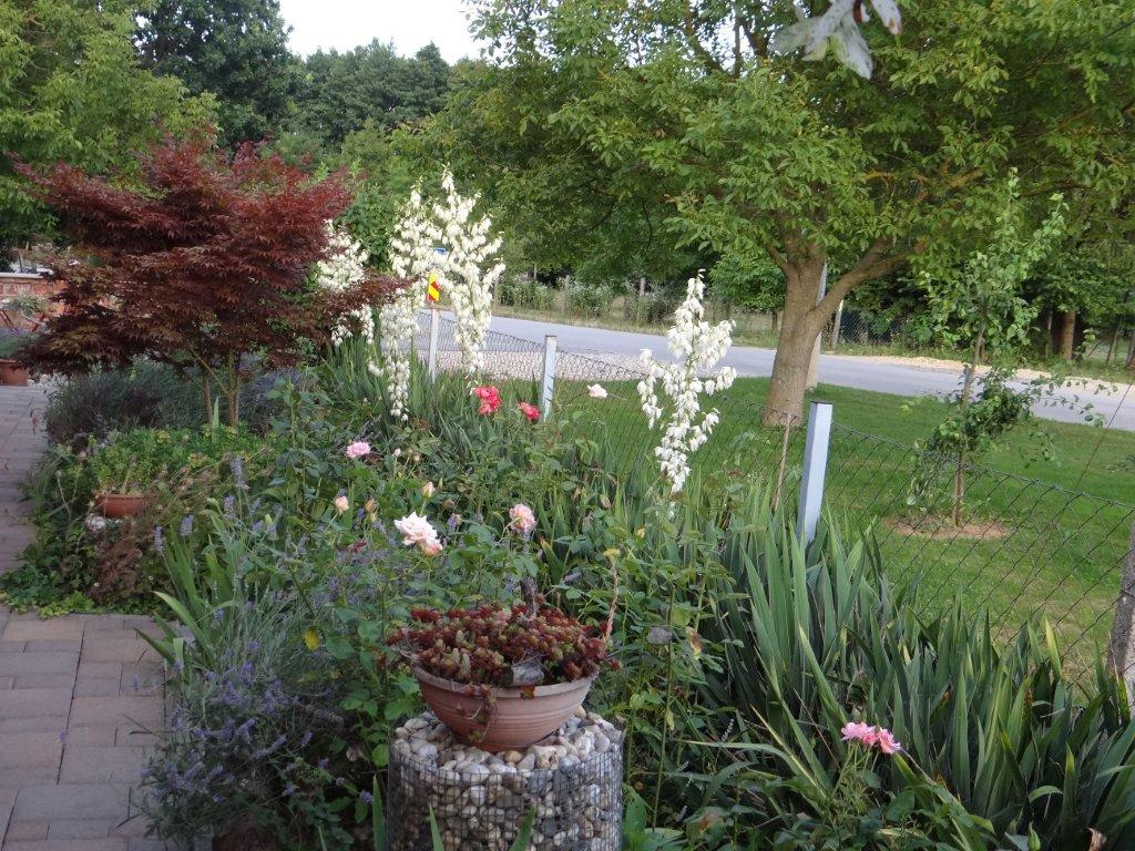 Biljno carstvo Vanje i Alena u Šenkovcu: Njihov vrt ‘Četiri godišnja doba’ mami poglede