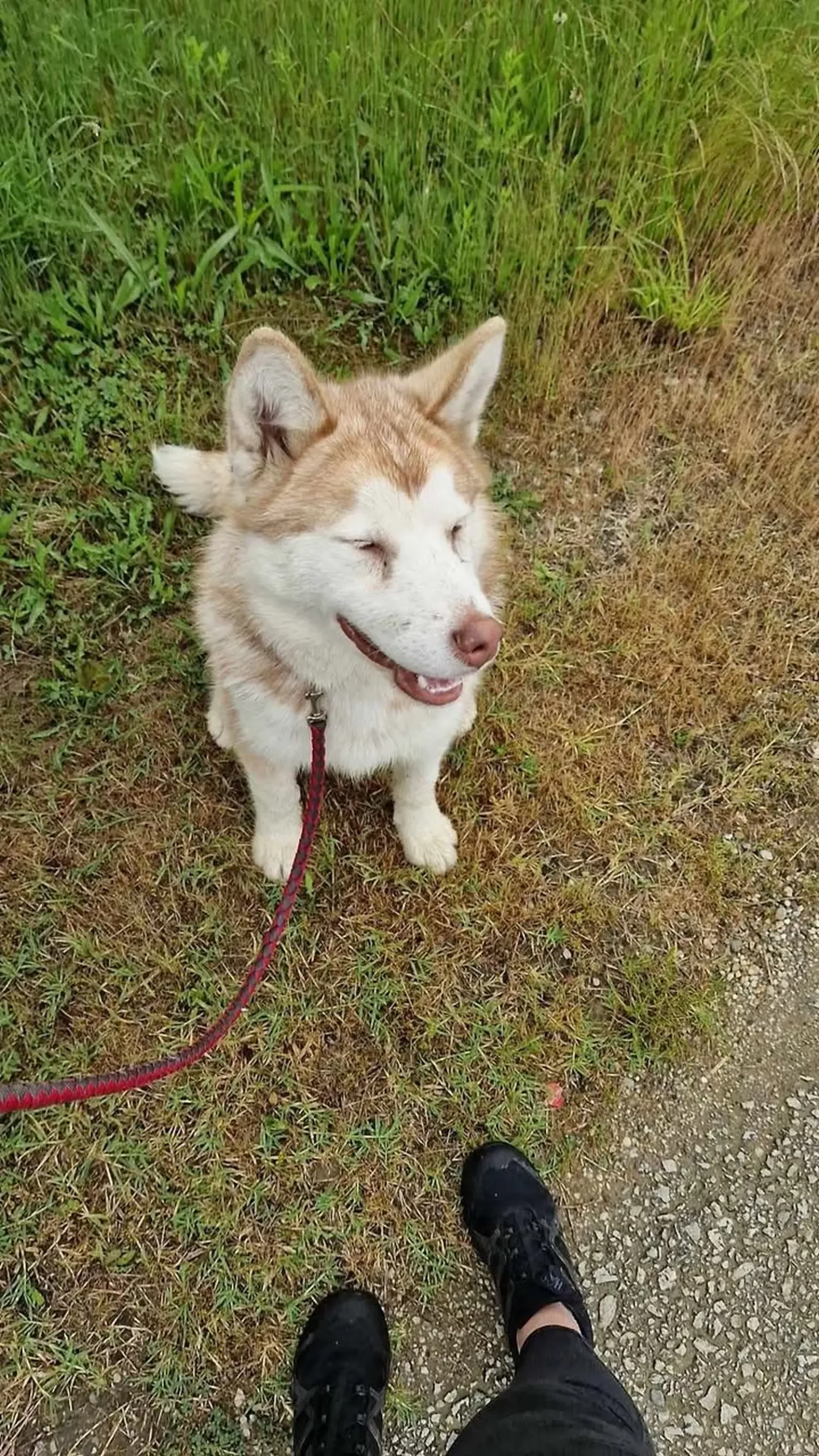 472779112_1330249777997274_6570627334489447393_n