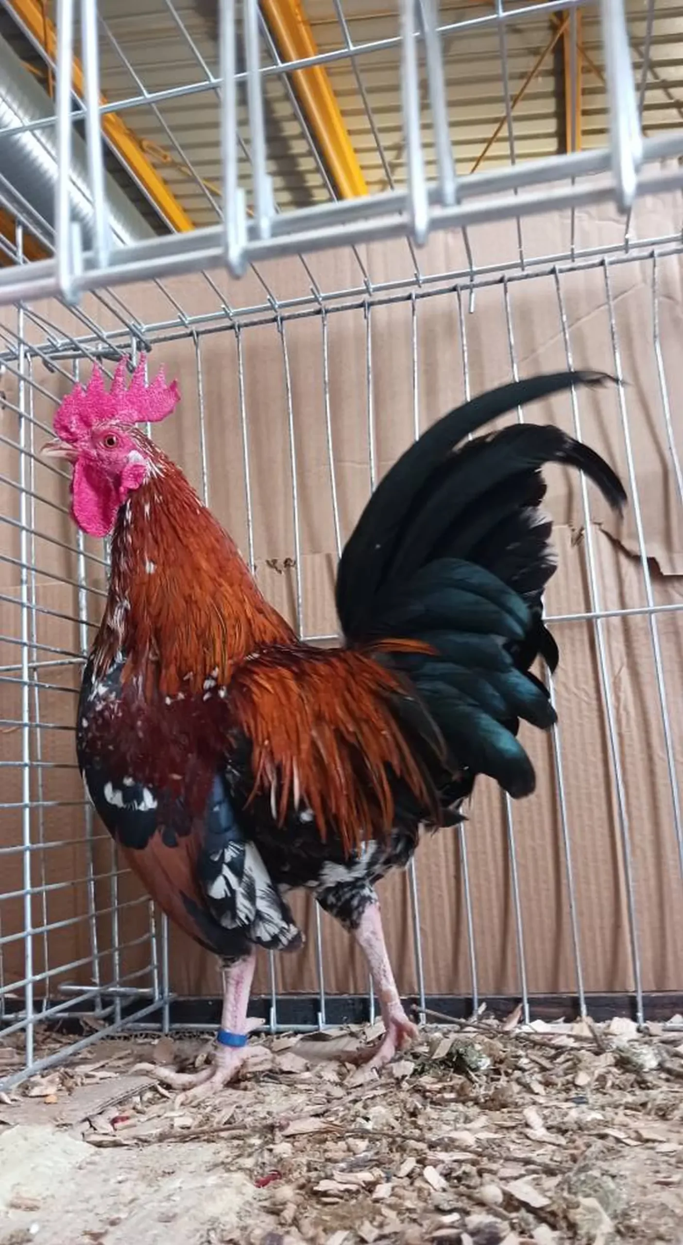 472795811_2560897124301474_1689816714429136023_n 472795811_2560897124301474_1689816714429136023_n