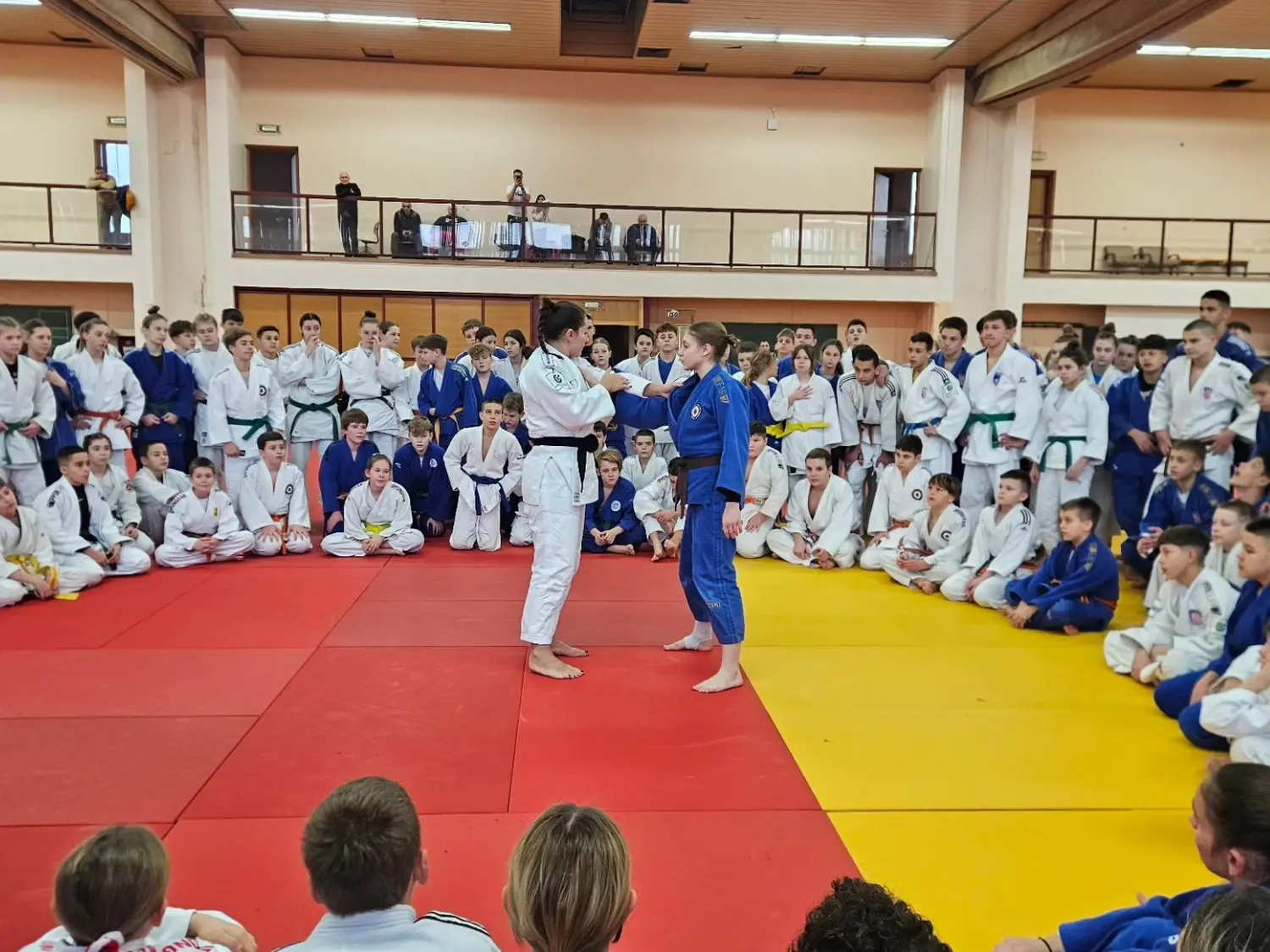 472841725_1184771970325179_2306783982610319499_n 472841725_1184771970325179_2306783982610319499_n