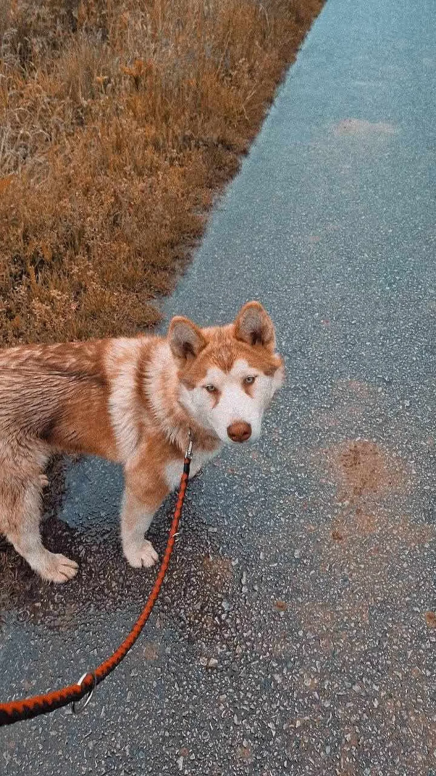 473556385_516996070882420_5798346885261619587_n