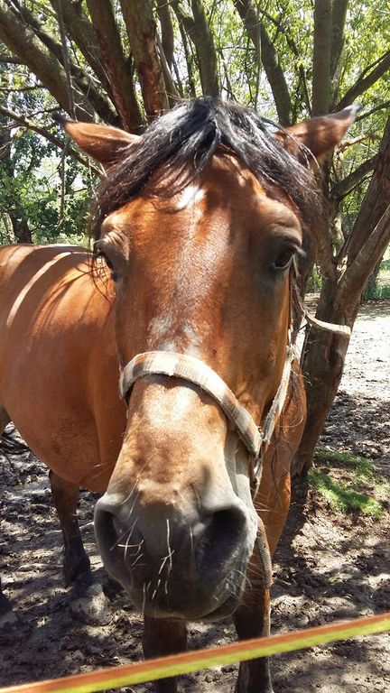 1949611013685232832171782114418