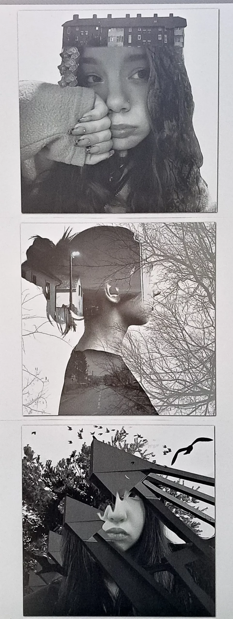 475458277_1169907071807213_4269531283806396400_n