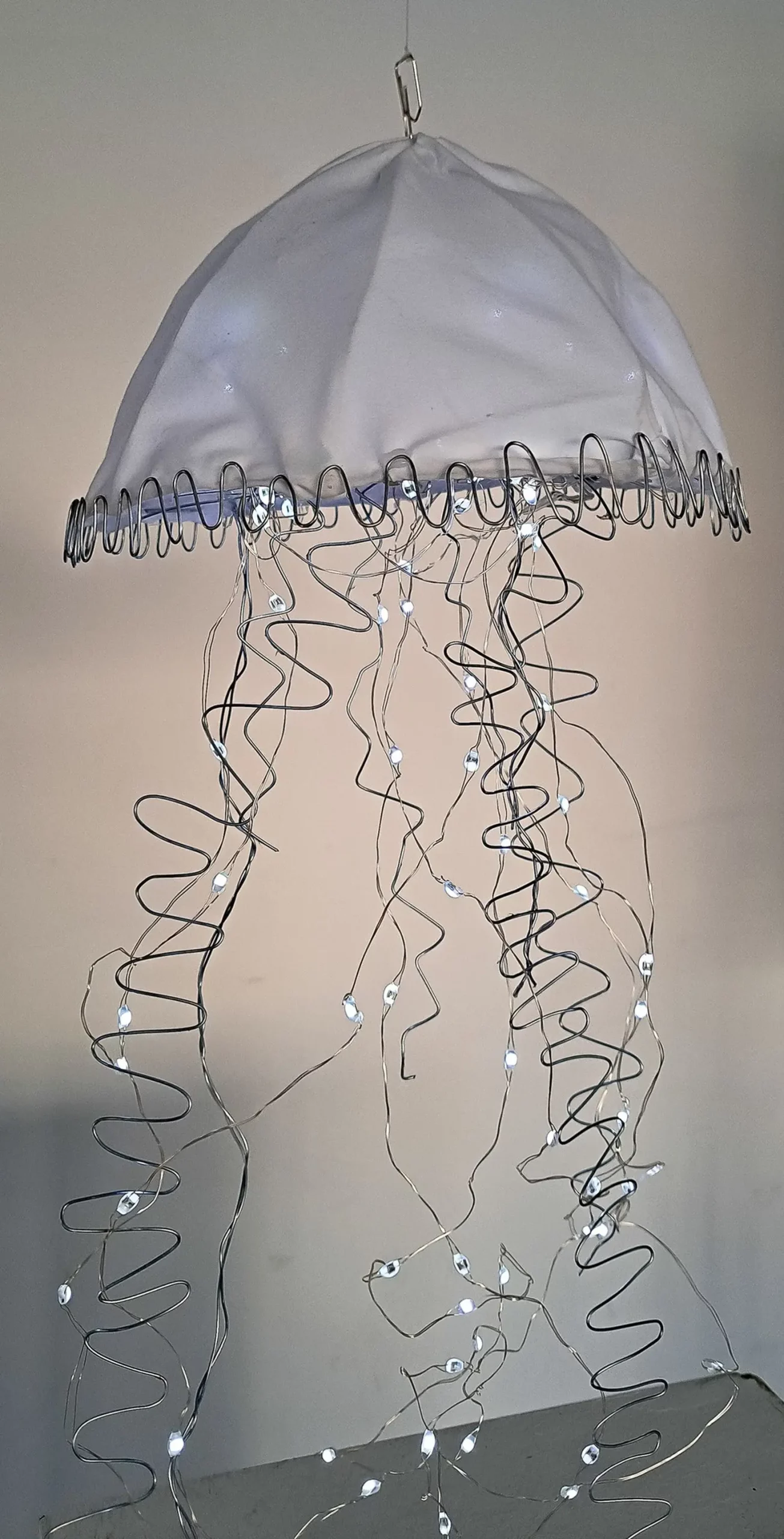 475462433_1169906755140578_5029853464471808362_n