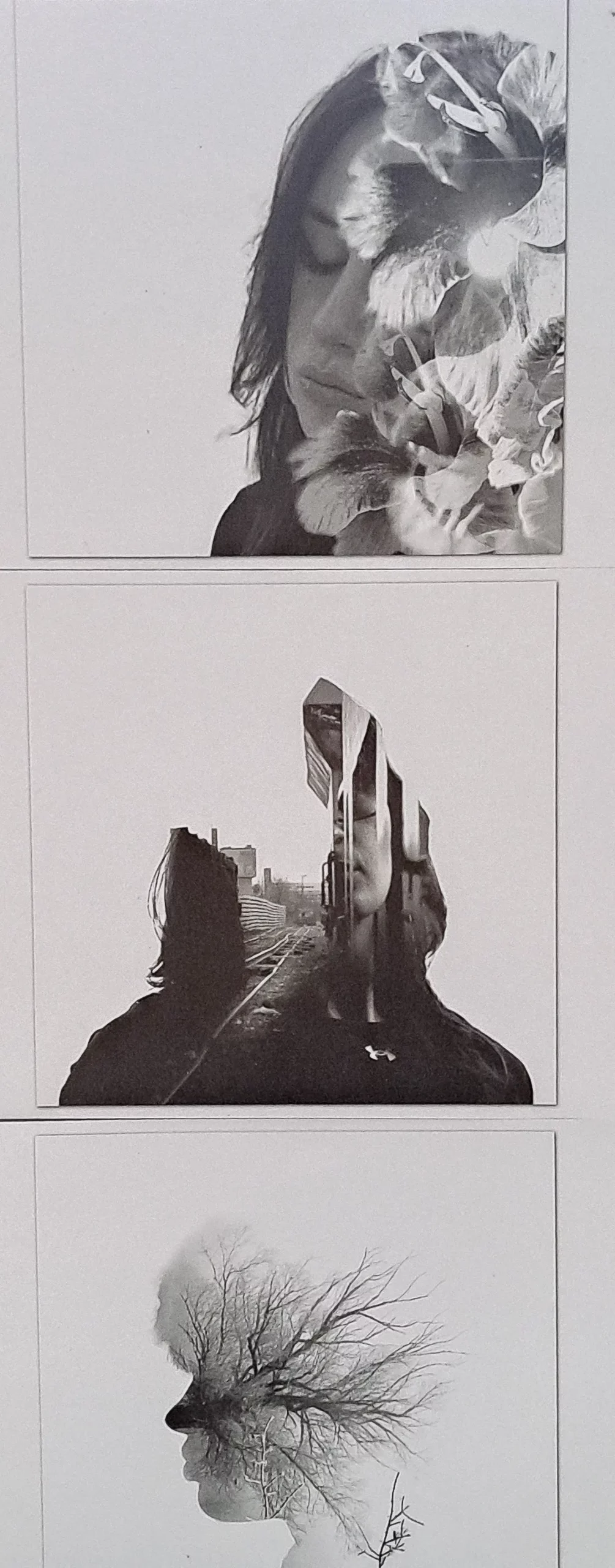 475789606_1169907011807219_291526050088648783_n