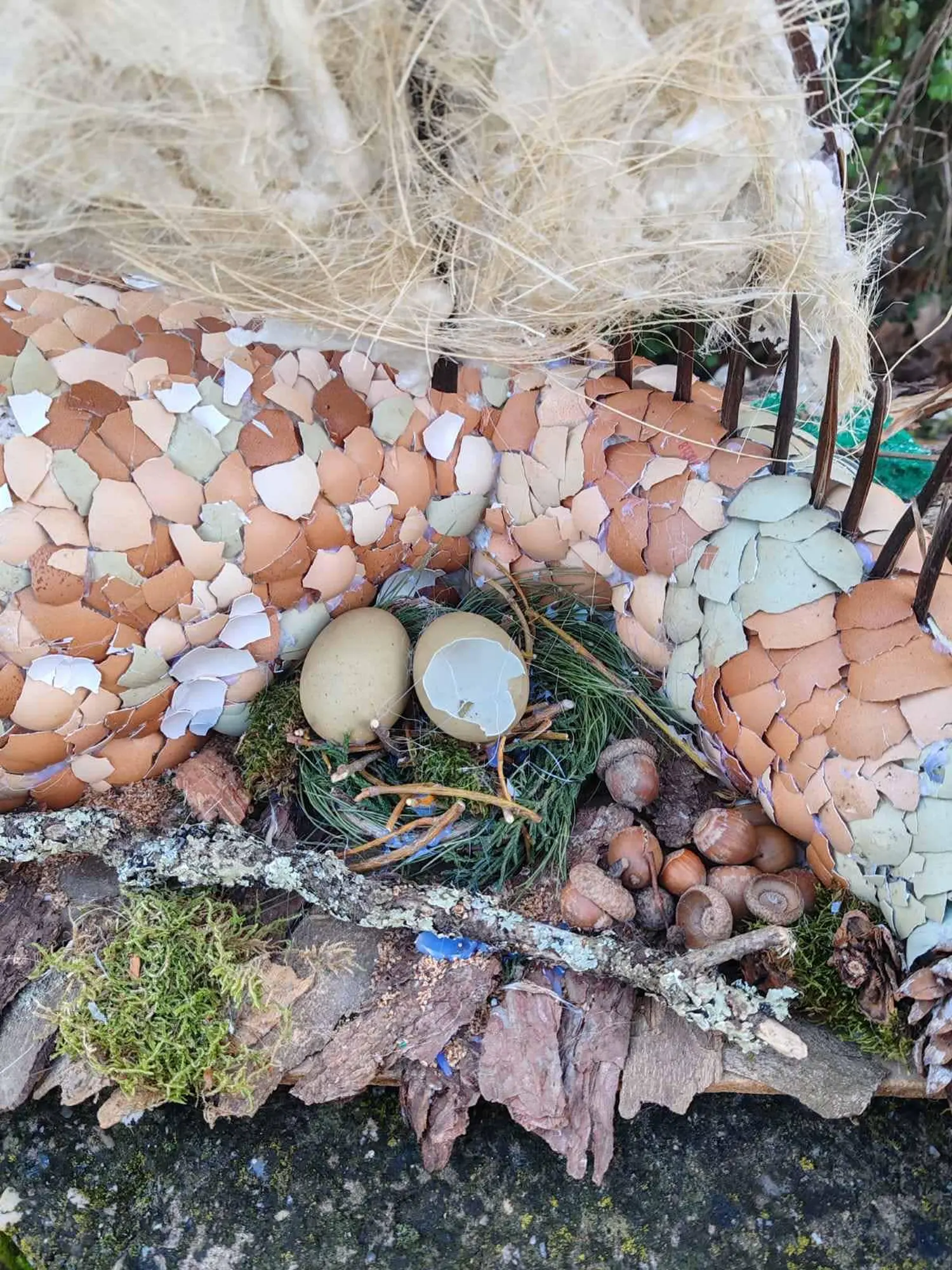 475795654_1588893745093420_8683578133408394175_n