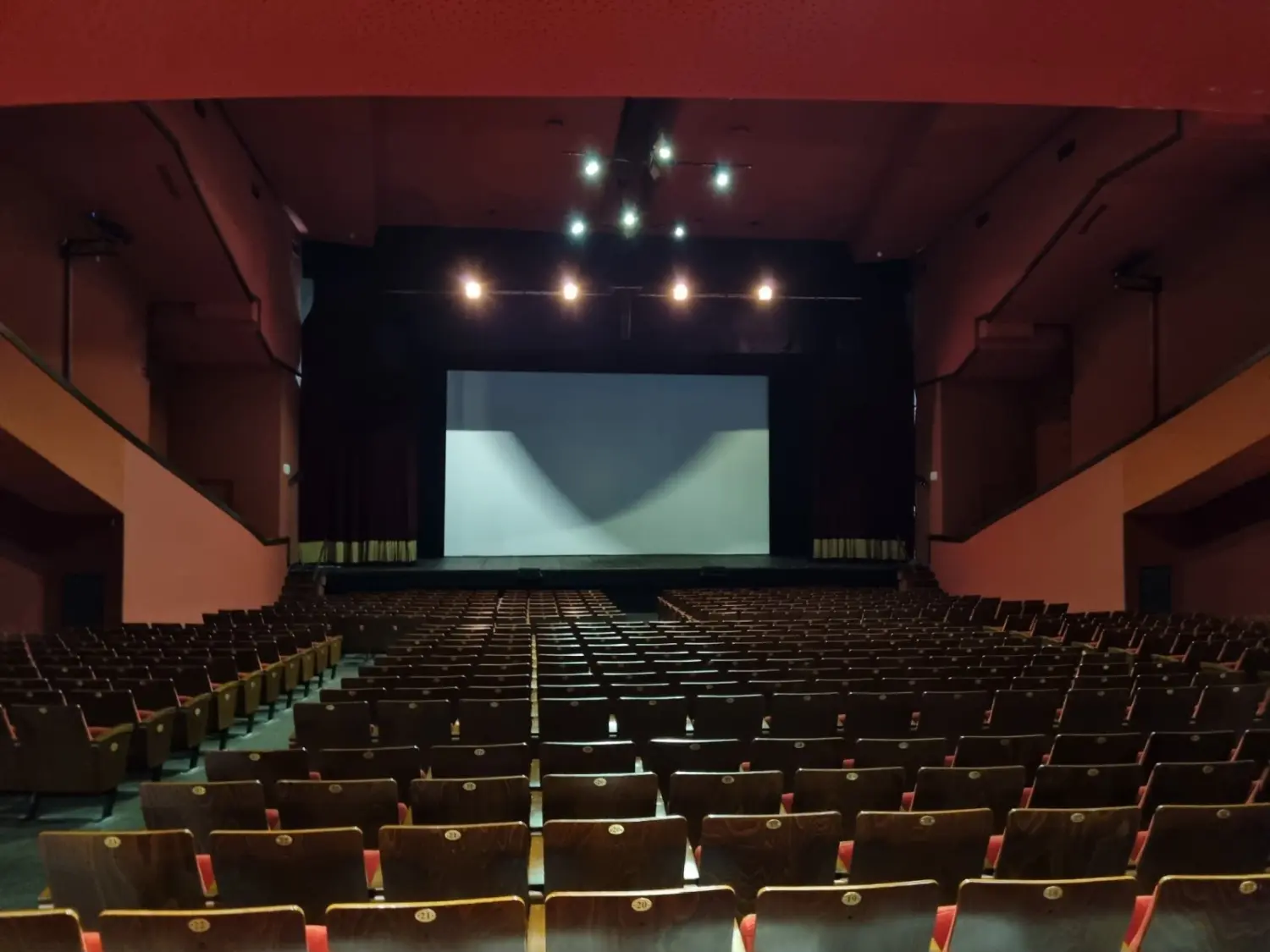 475979179_1233583978782646_8916509972552987853_n