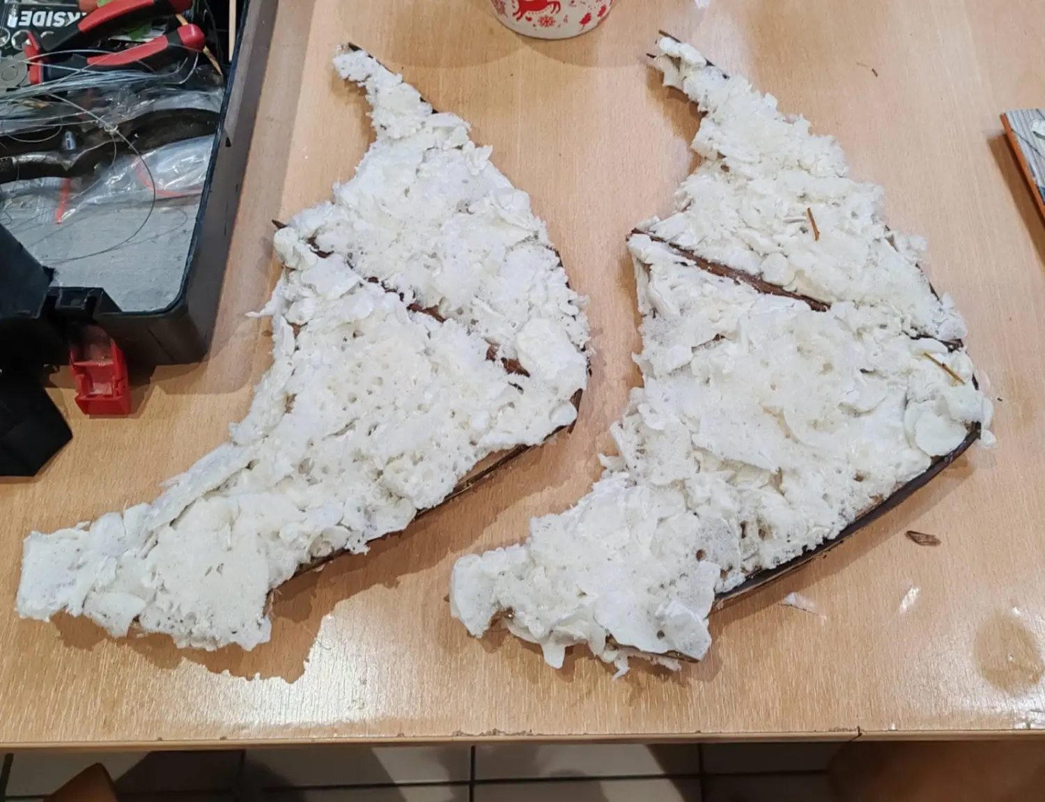 476402321_1588893811760080_1616518997957760527_n