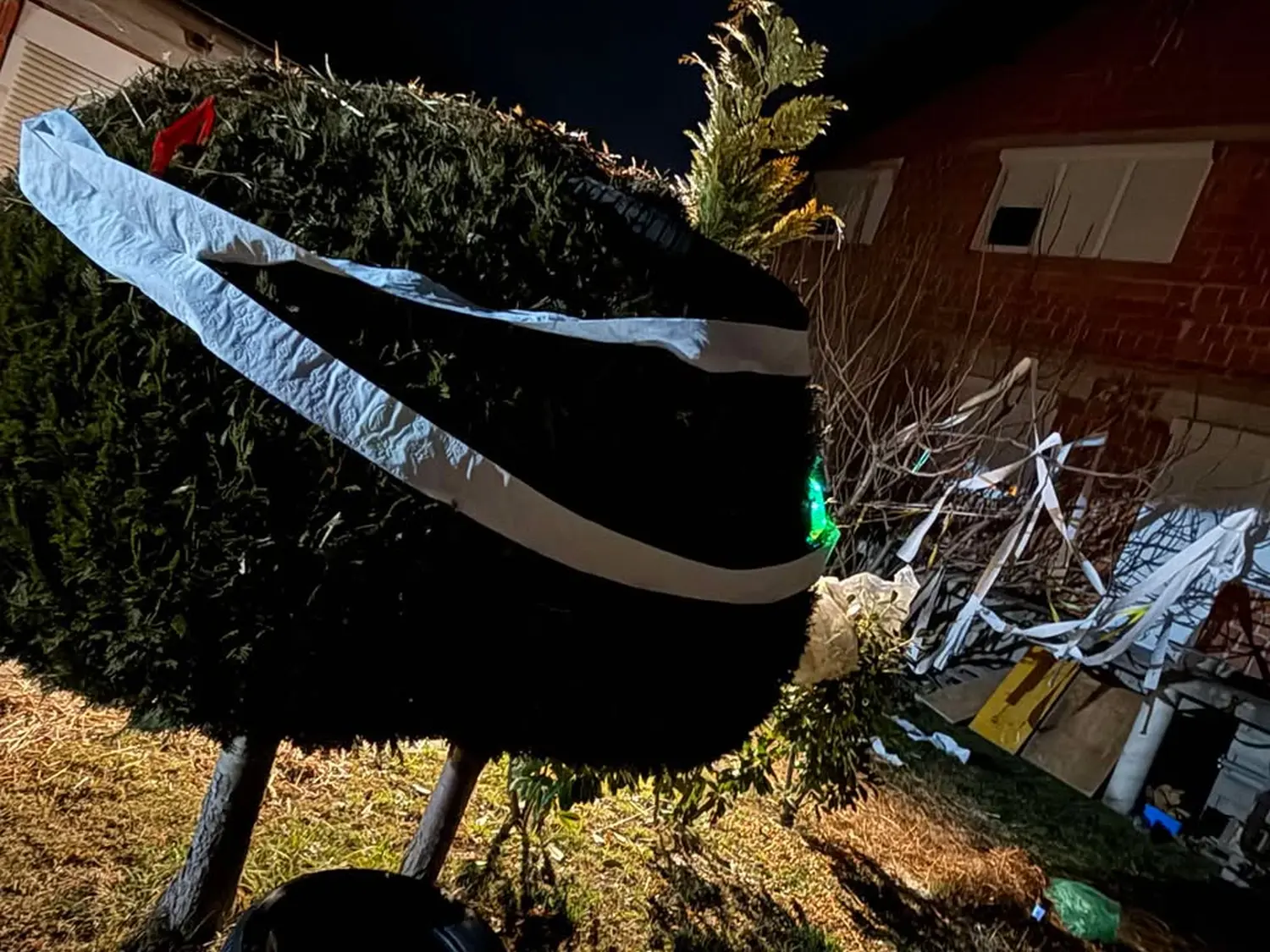 476496040_955038966732016_3637672118809963896_n 476496040_955038966732016_3637672118809963896_n