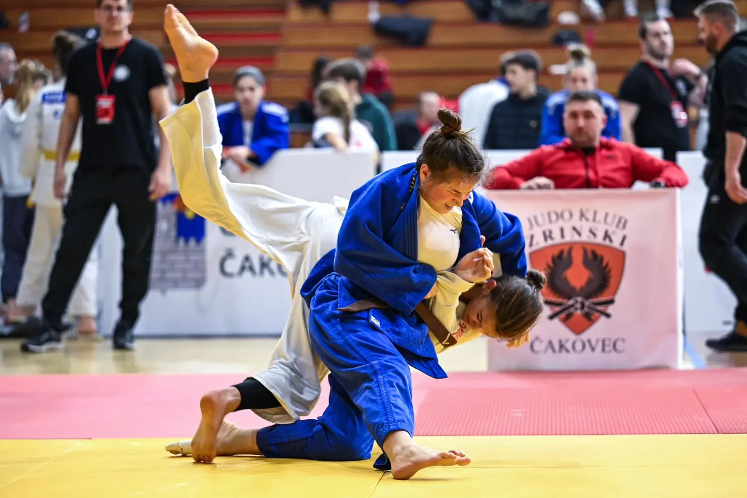 476797994_1210424021093307_8475584345661606829_n