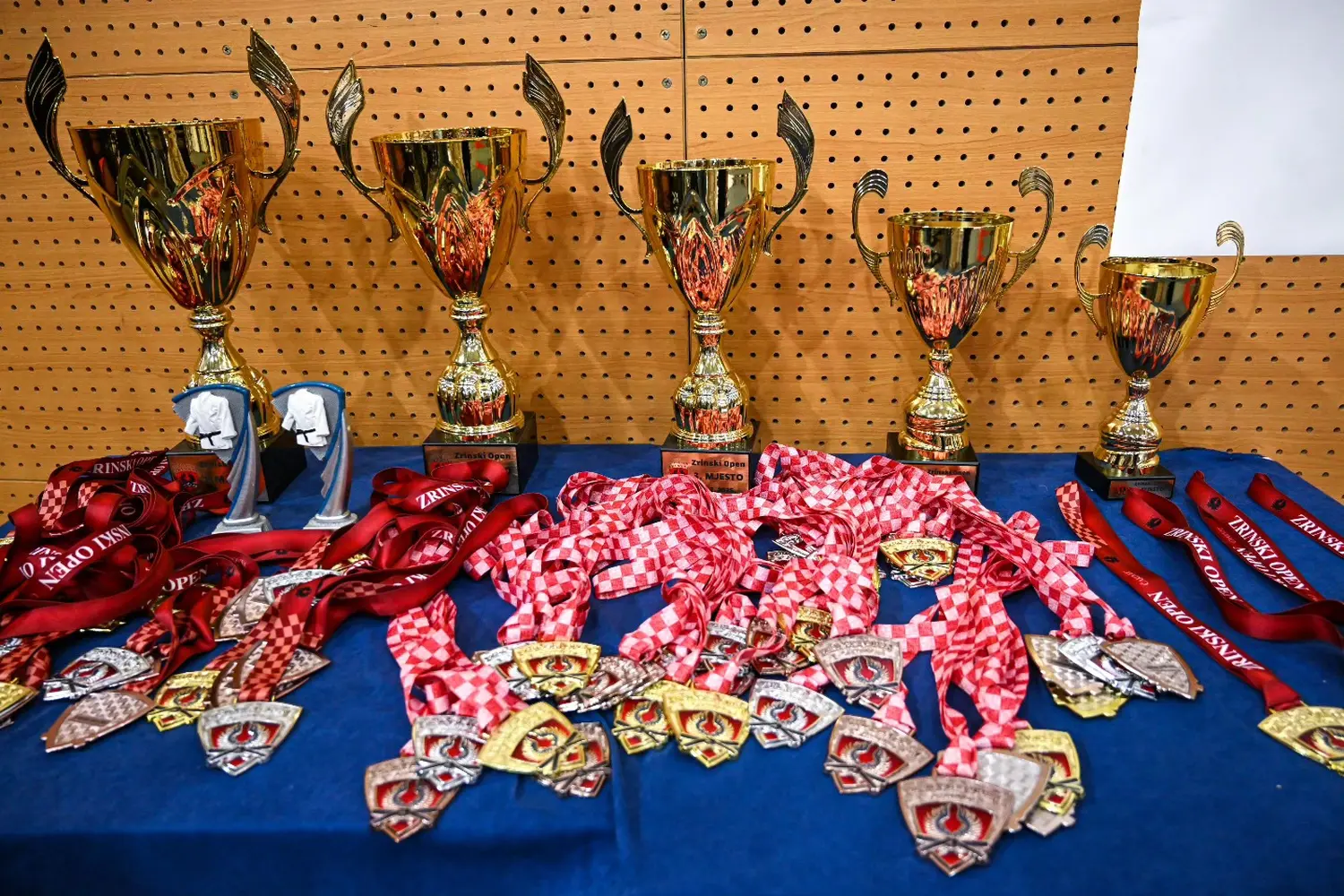 476798019_1210424041093305_2326826307339576975_n