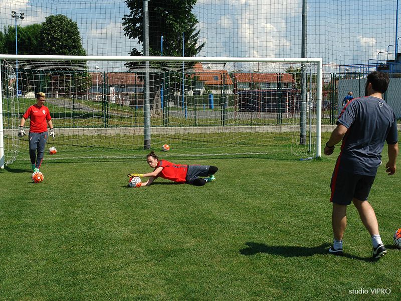 355215482dsc06604227693