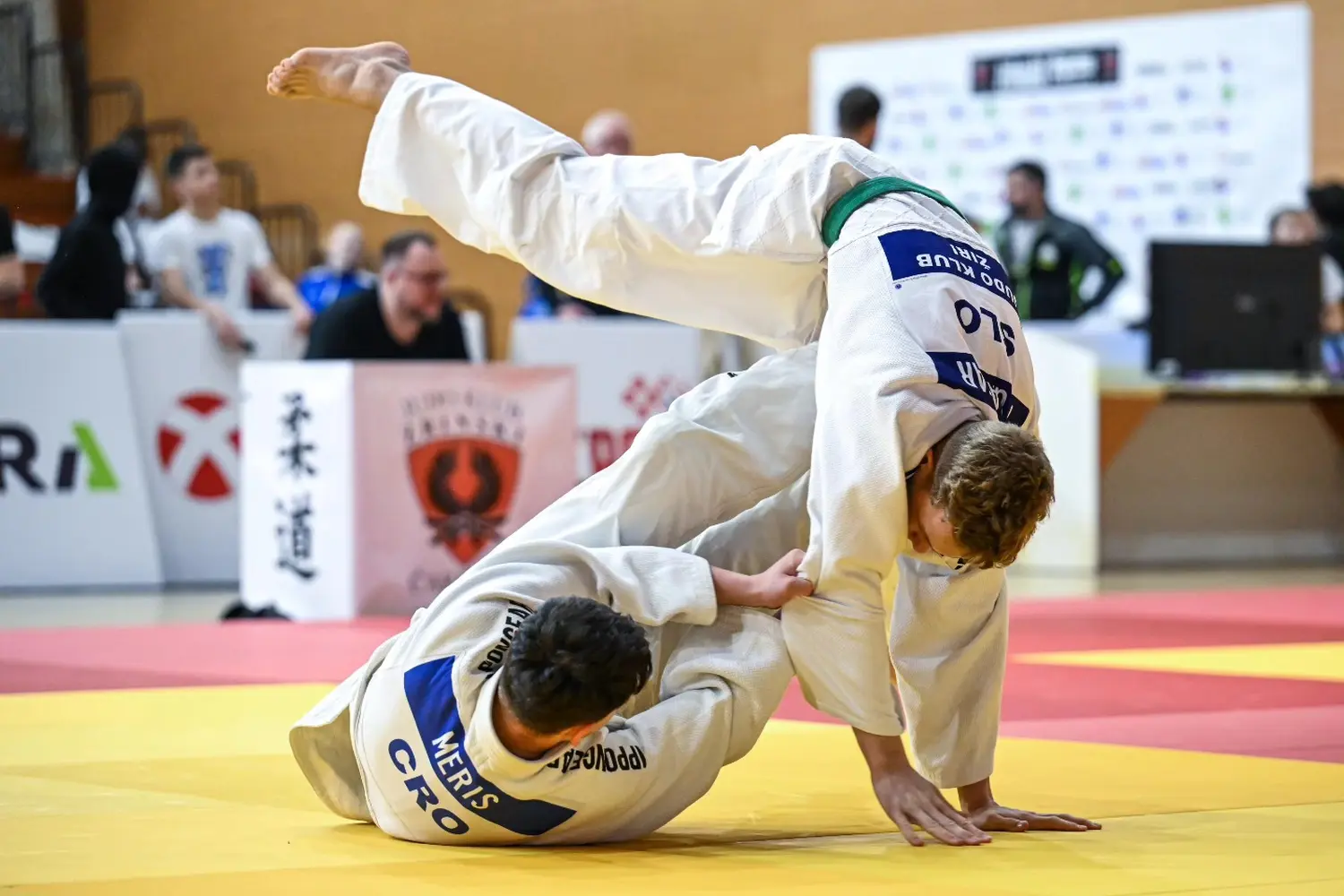 479448027_1210424044426638_7200219469666578251_n