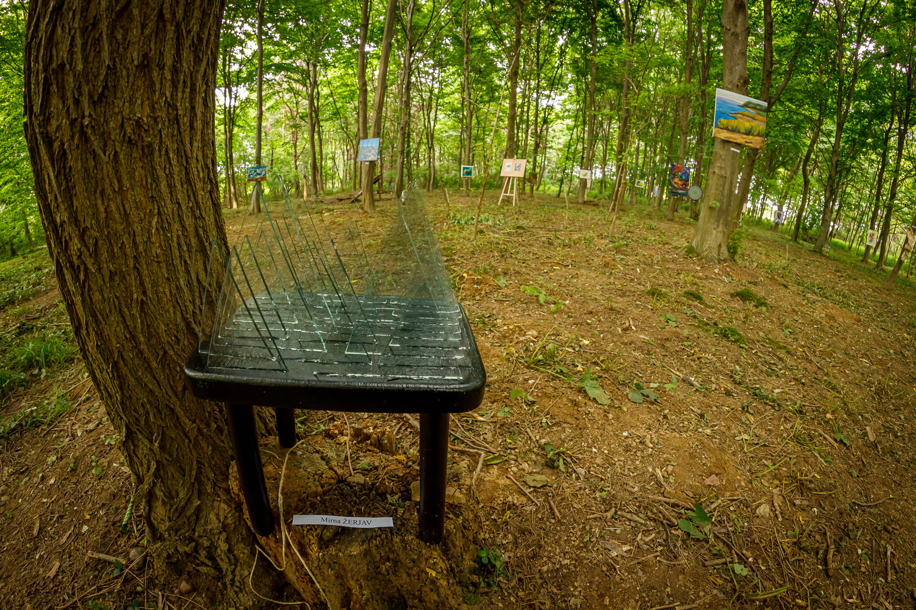 INTERVJU U SUSRET ART FORESTU Nedelišće ovaj vikend postaje oaza umjetnosti i kreative