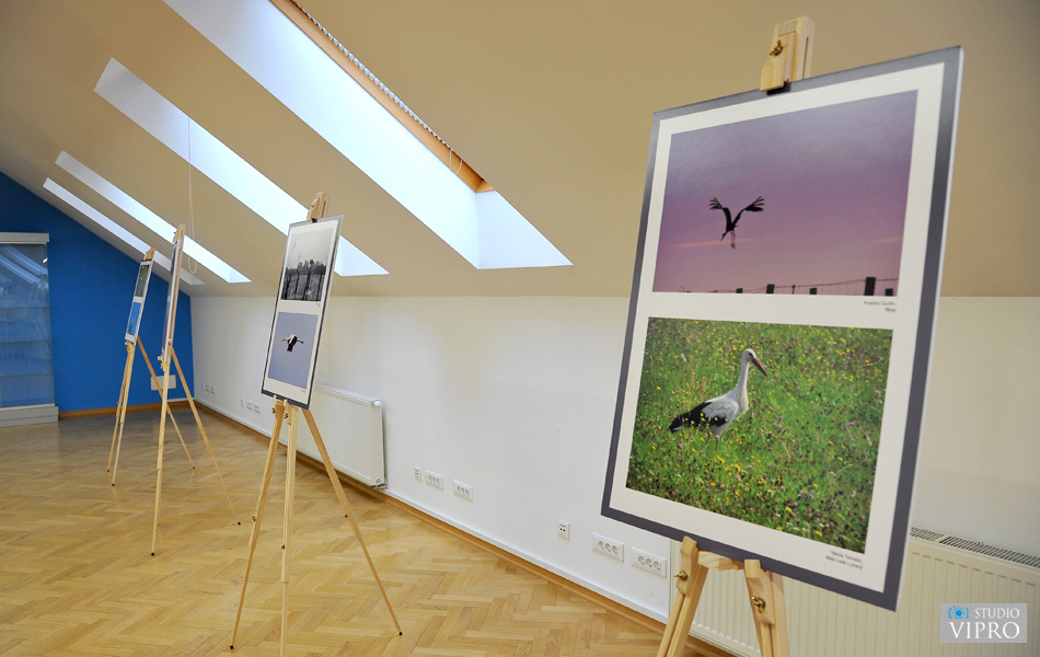 U Prelogu održano predavanje i otvorena izložba o bijeloj rodi