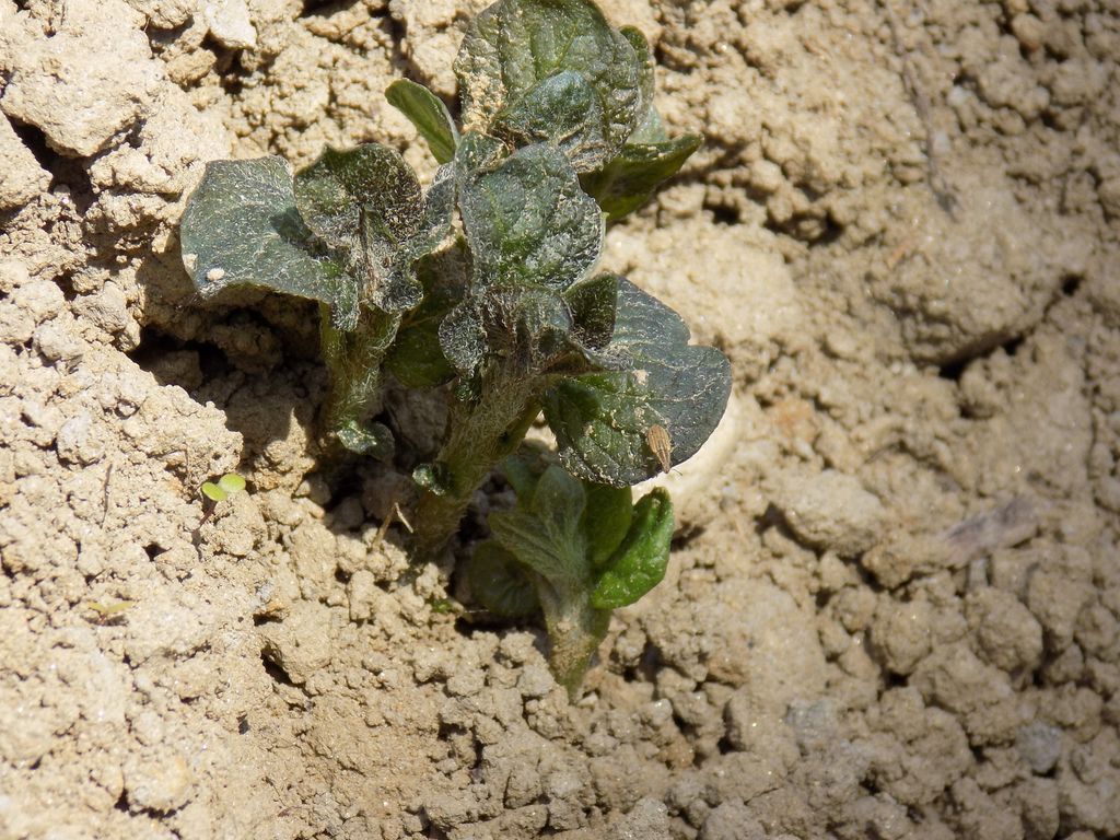 dscn1910287118753553