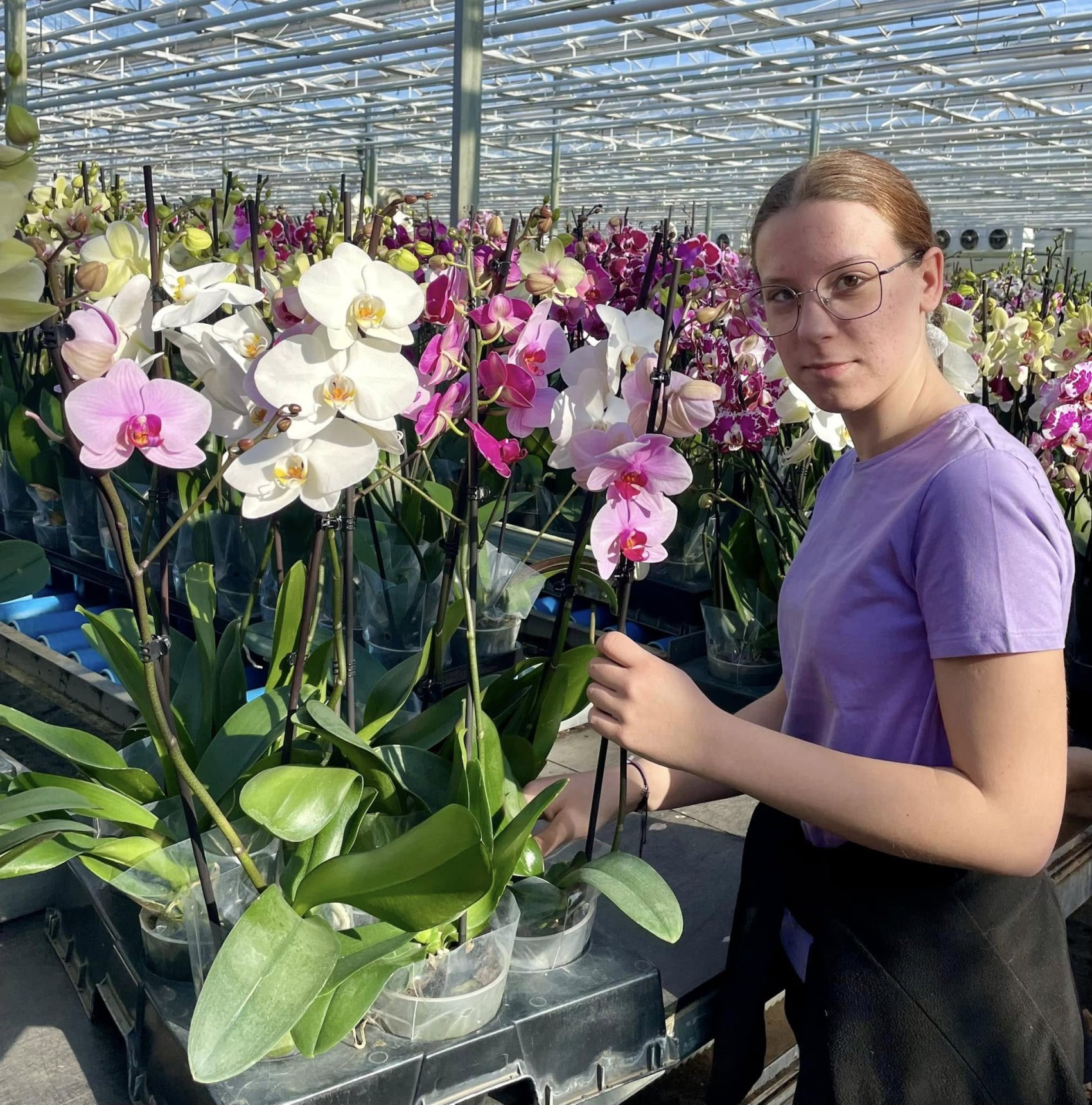 480364490_1605089756807152_3330315355157800539_n