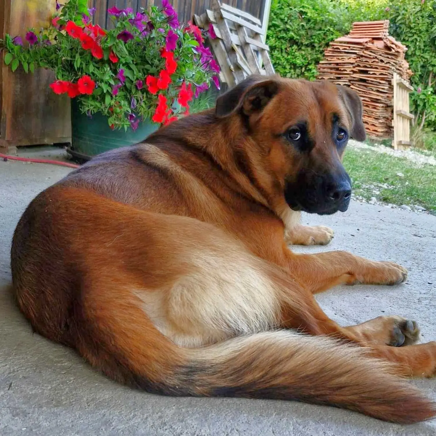 480477463_122194715804155444_5556283468531558490_n