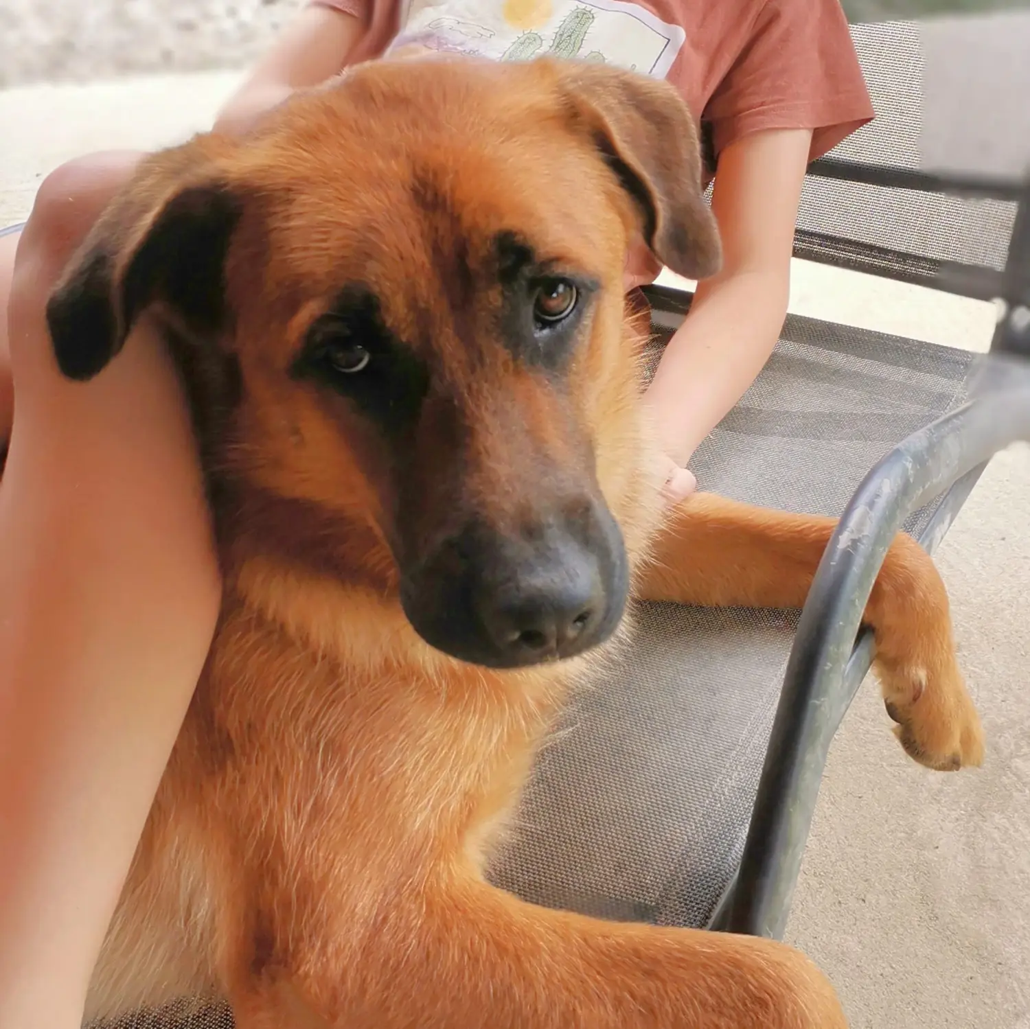 480962216_122194715756155444_6765894806039824217_n