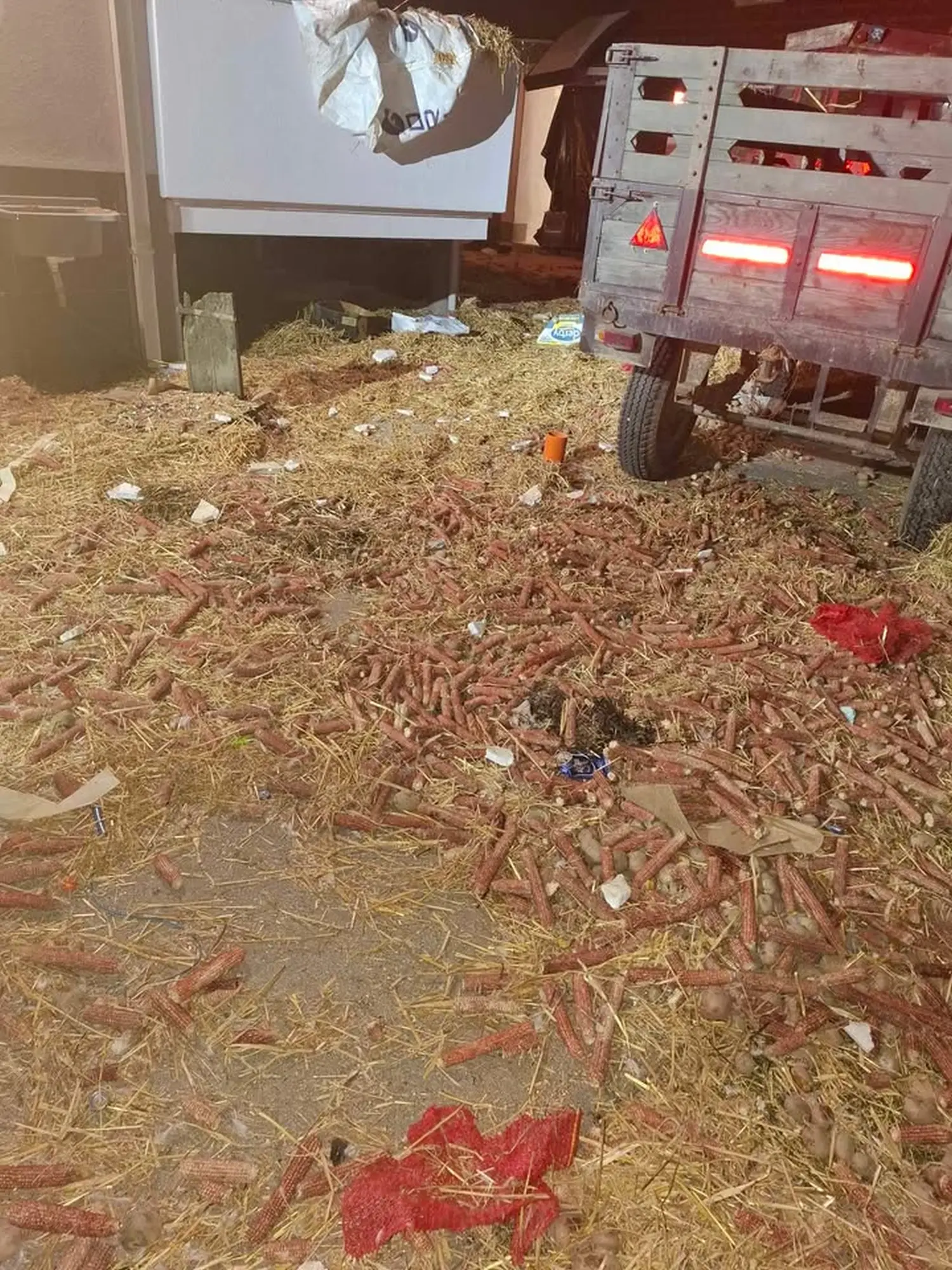 480986393_902303585177261_5736160340962171710_n