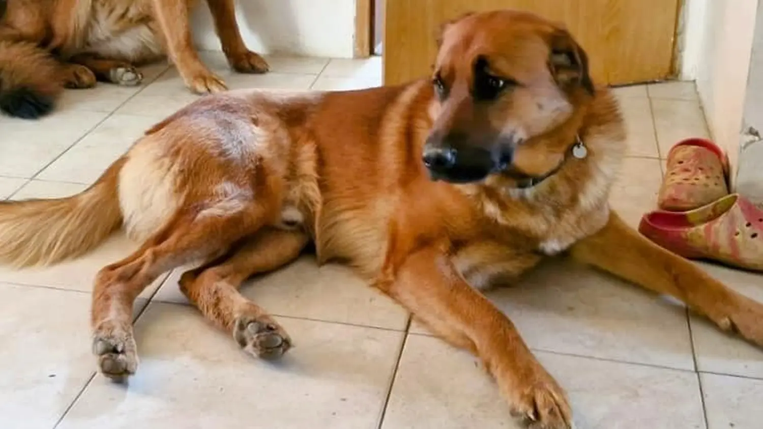 481044417_122194715714155444_4834455935206919326_n