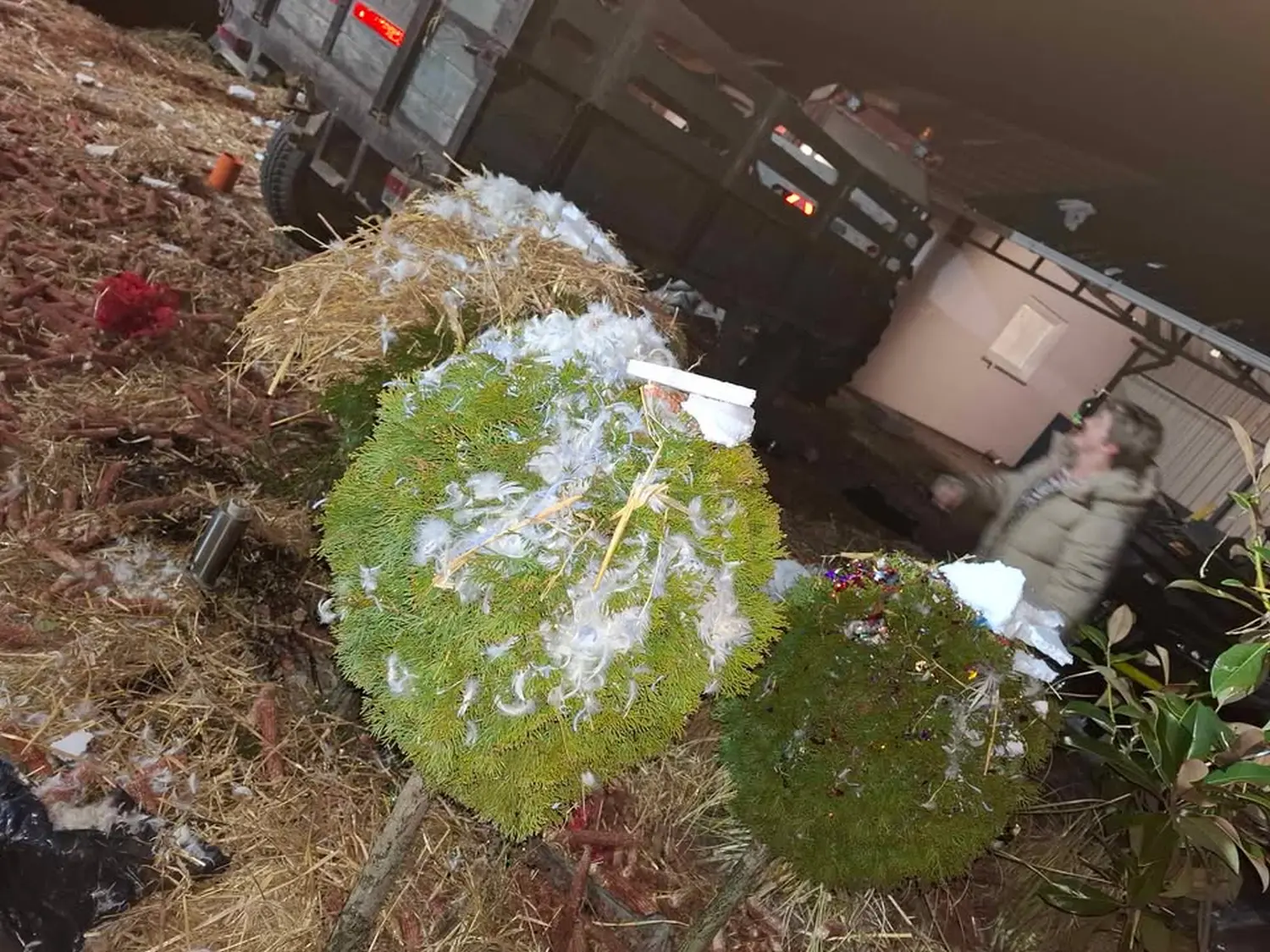 481302459_1294655938316491_5790873546964703883_n