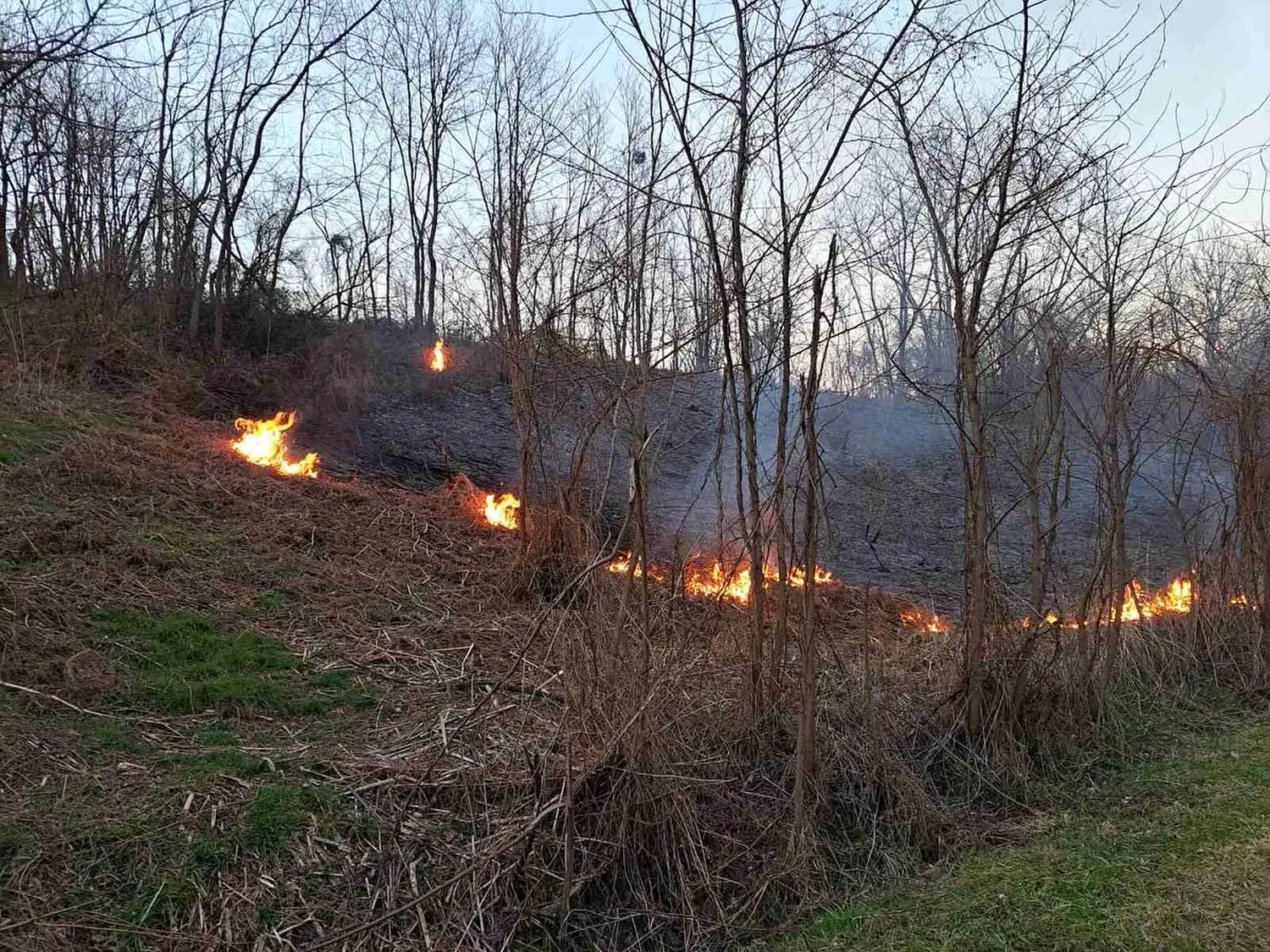 482666543_17897330895119757_5752285659505654638_n