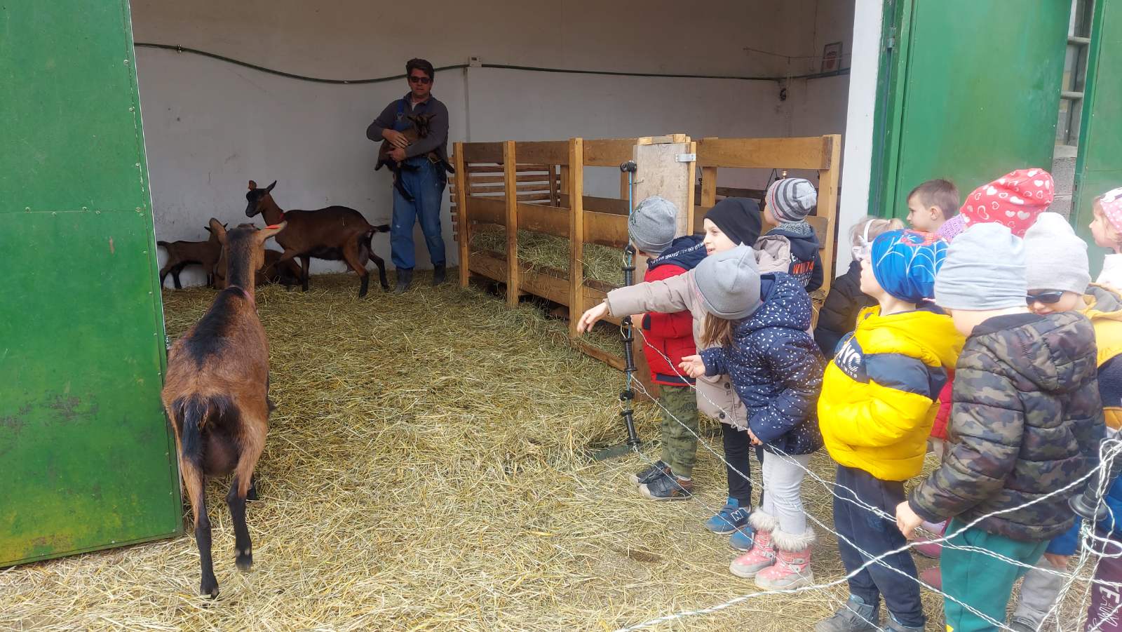 Jelena Vuletić Čičko