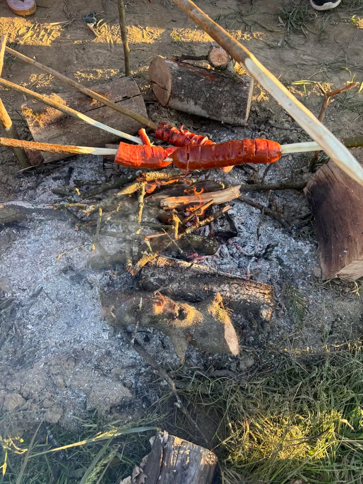 vuzmenka dragoslavec