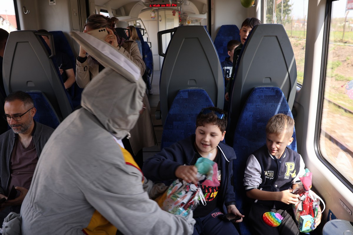 zeko express zeko express