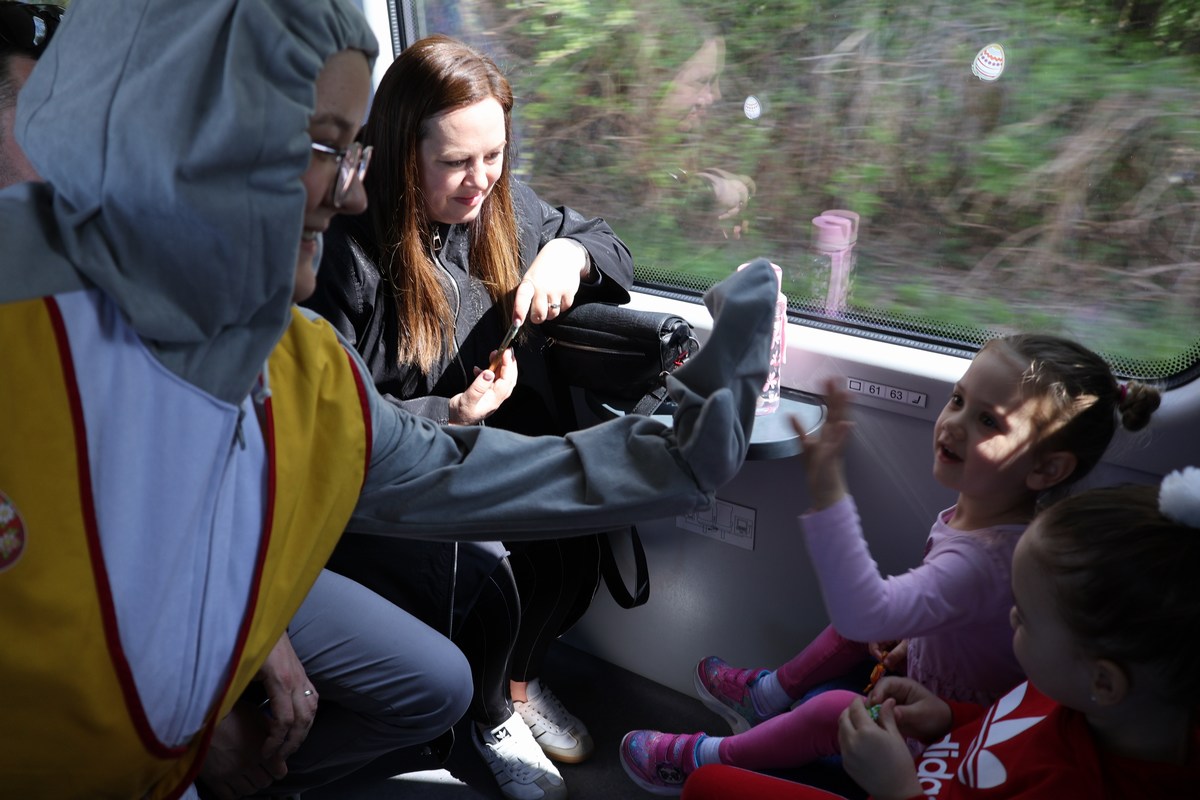 zeko express zeko express