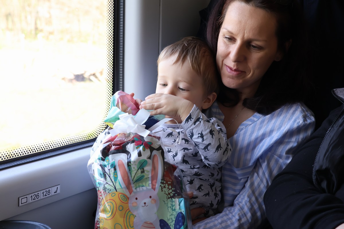 zeko express zeko express