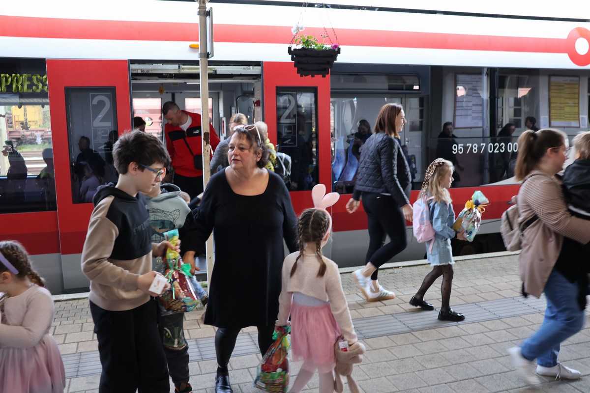 zeko express zeko express