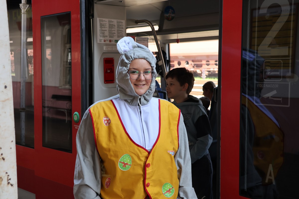 zeko express zeko express