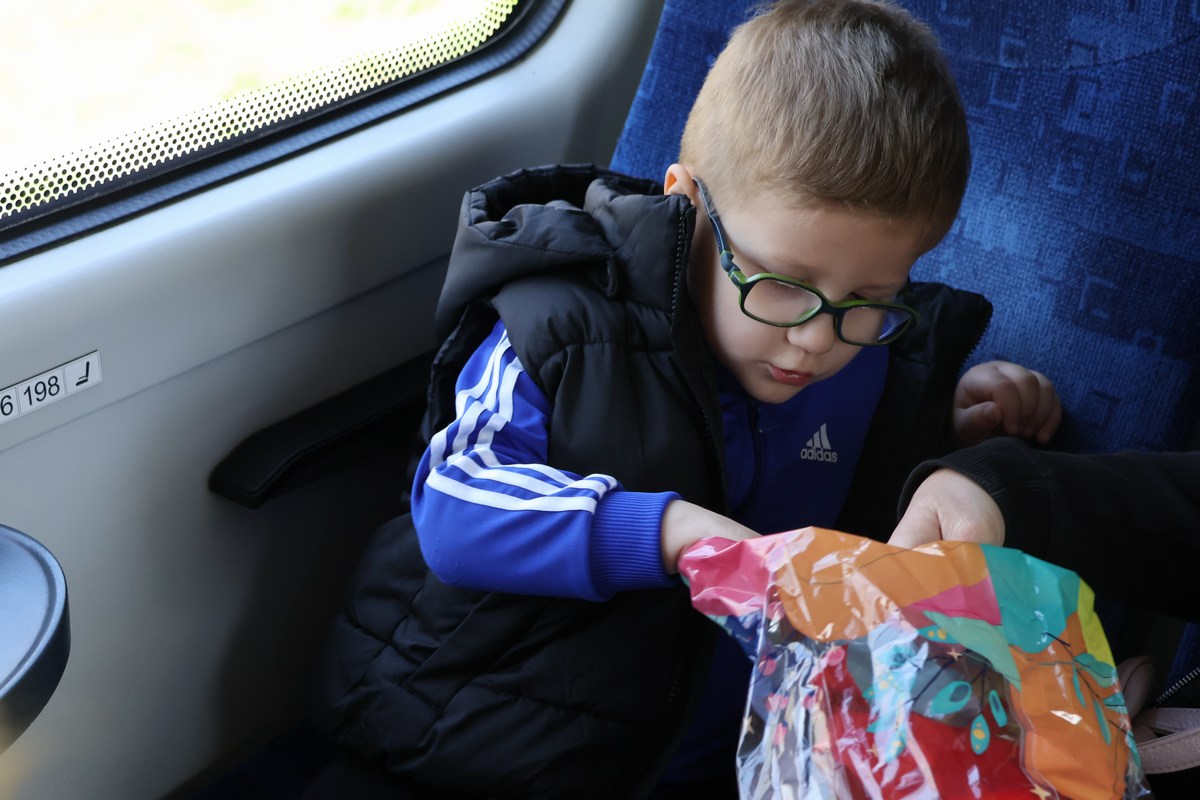 zeko express zeko express