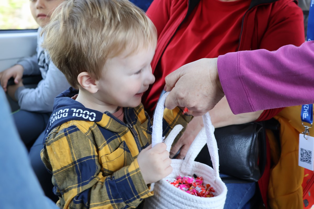 zeko express zeko express