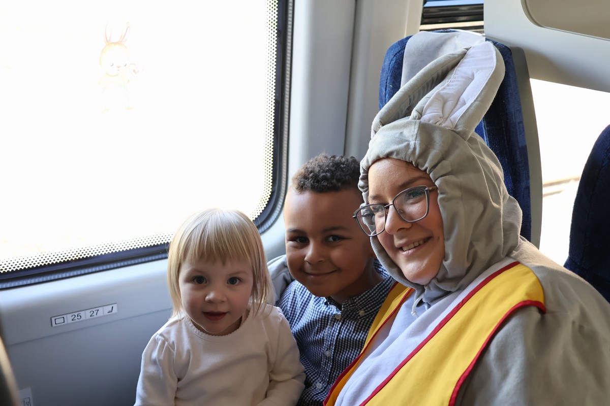 zeko express zeko express