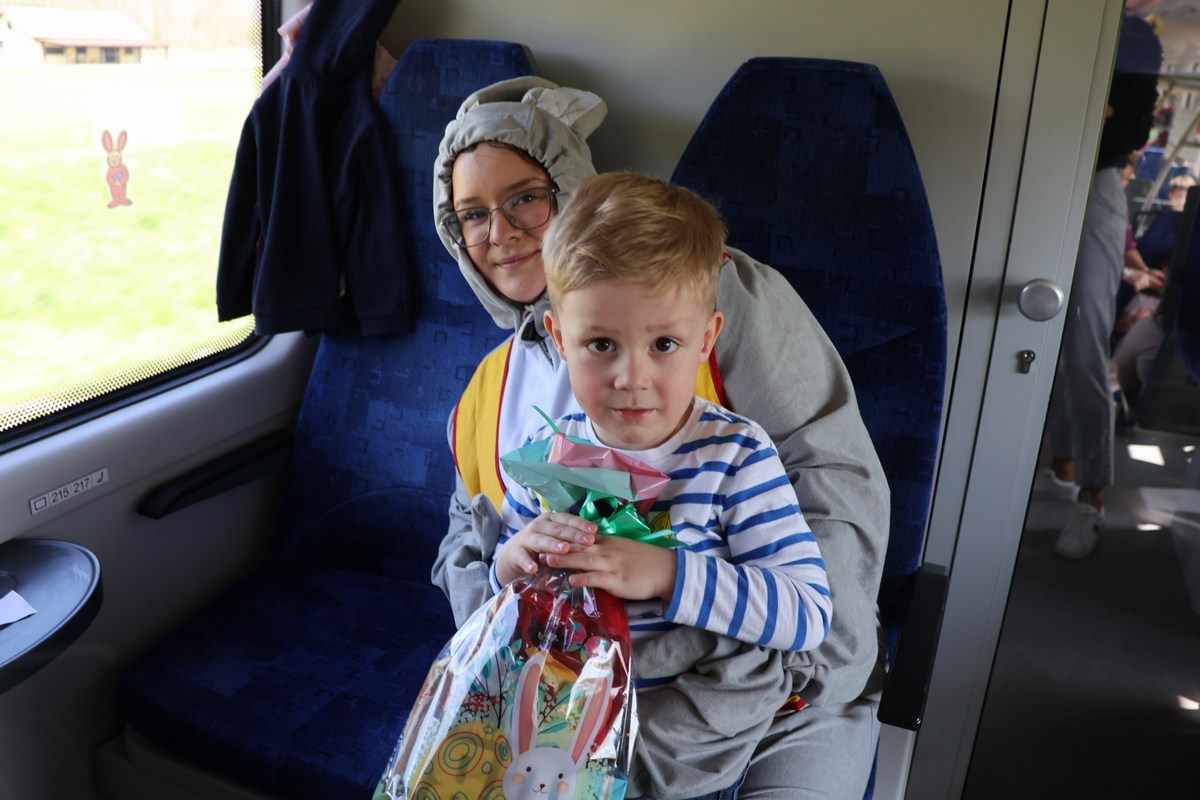 zeko express zeko express