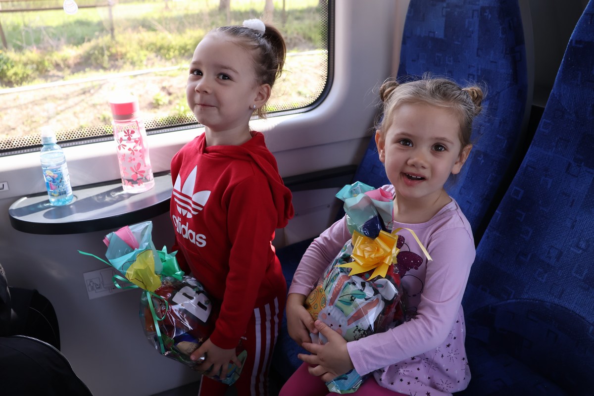 zeko express zeko express