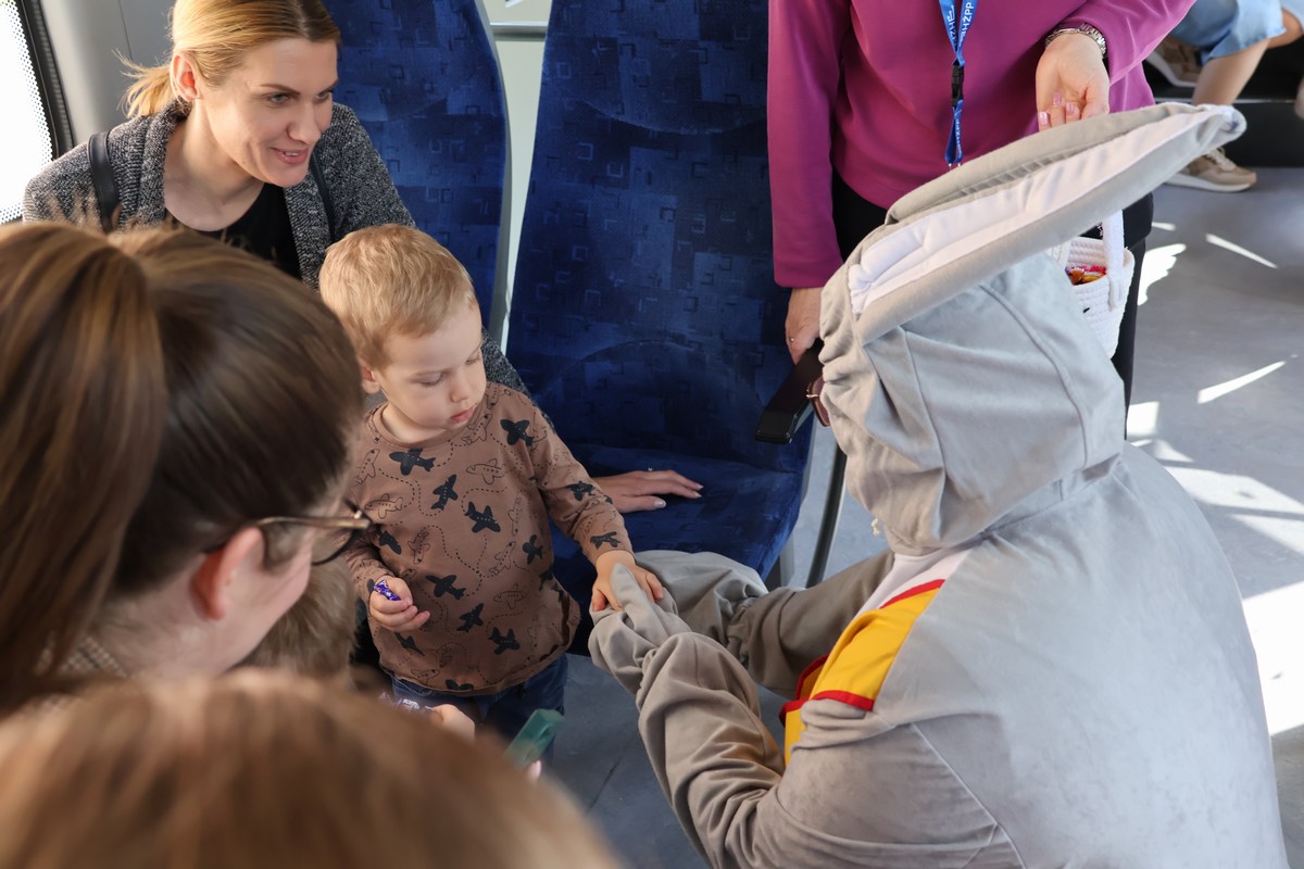 zeko express zeko express