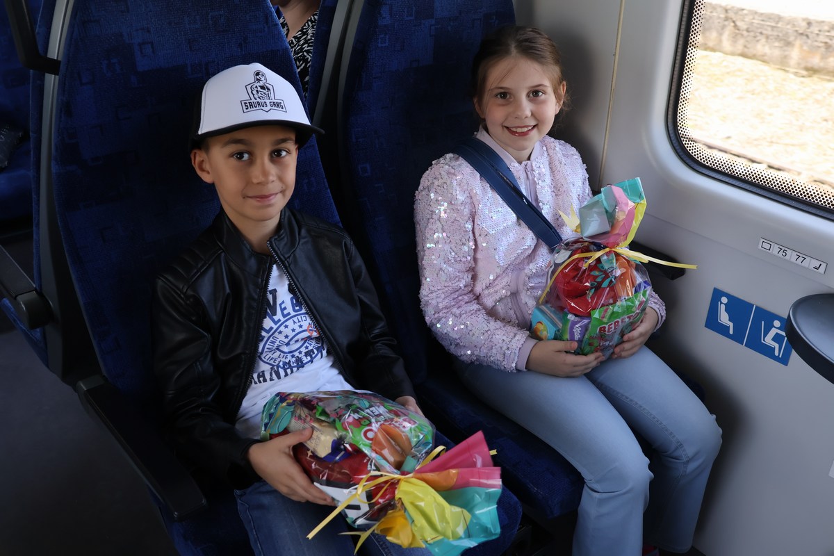 zeko express zeko express