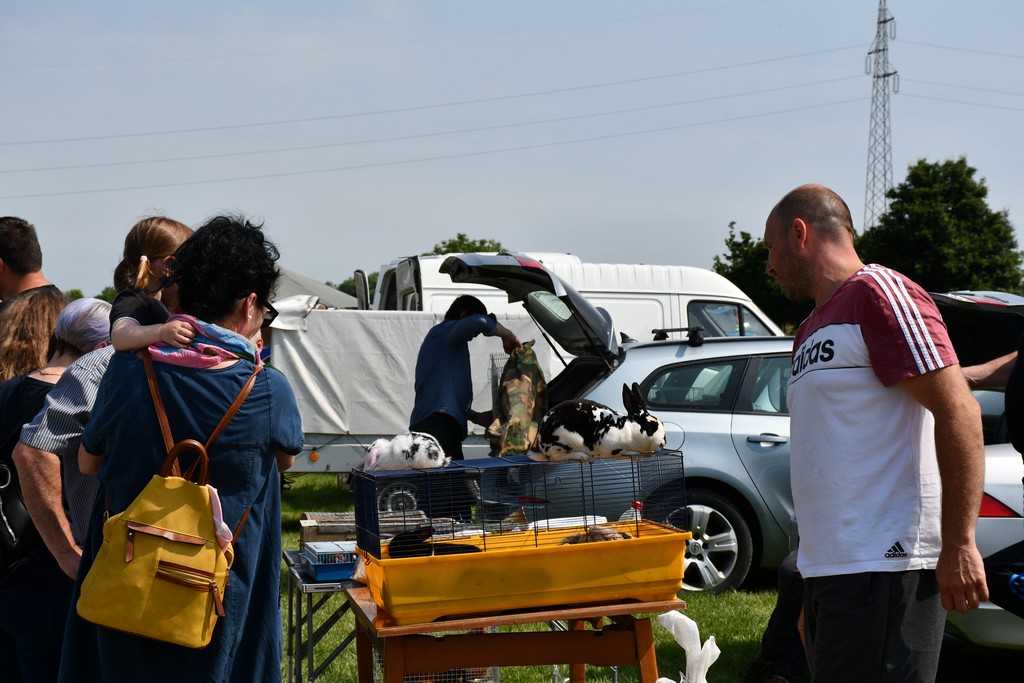FOTO Izložba malih životinja privukla brojne izlagače, ali i posjetitelje